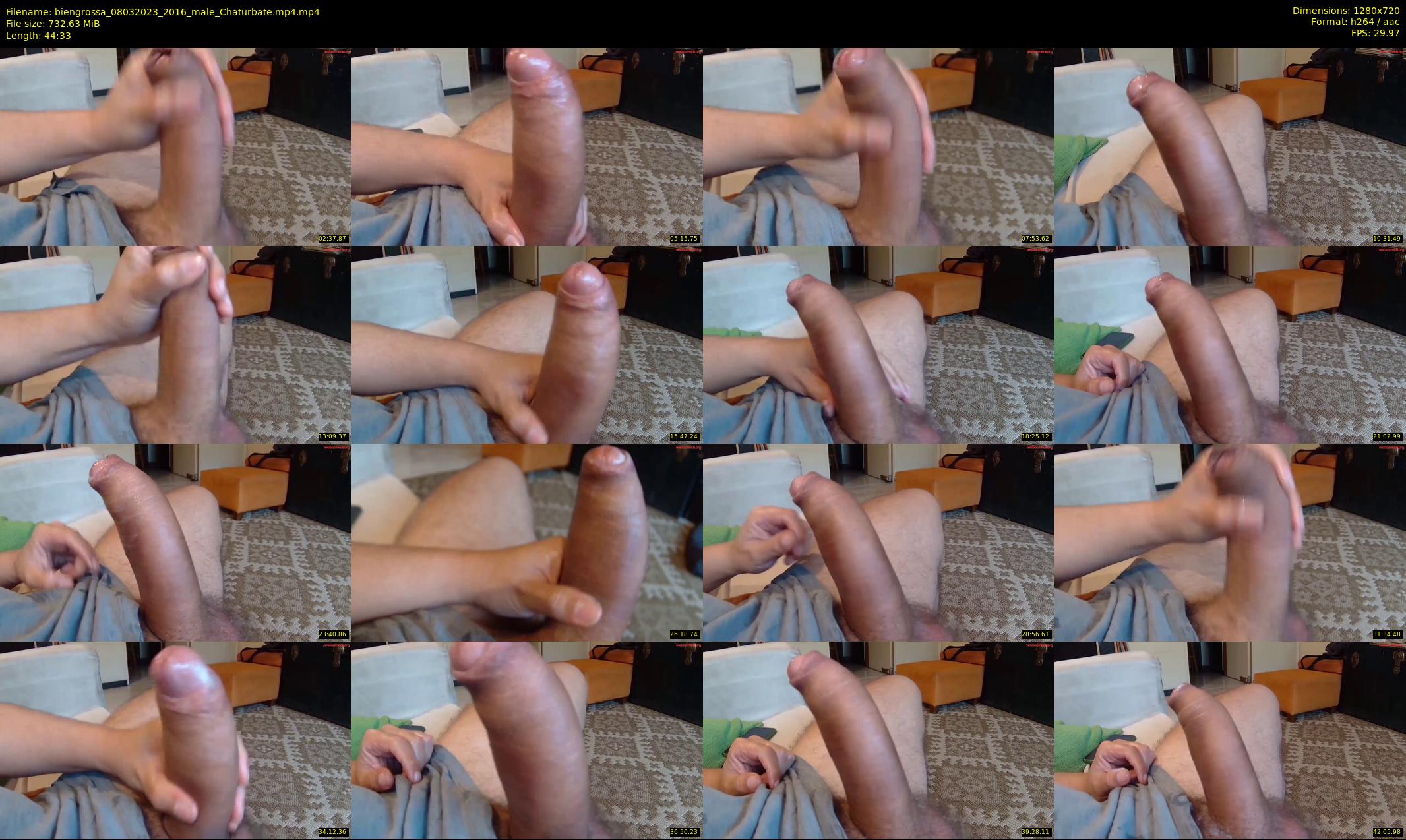 biengrossa — 45 minute Chaturbate male cam show recording, 720p, Mar 8, 2023