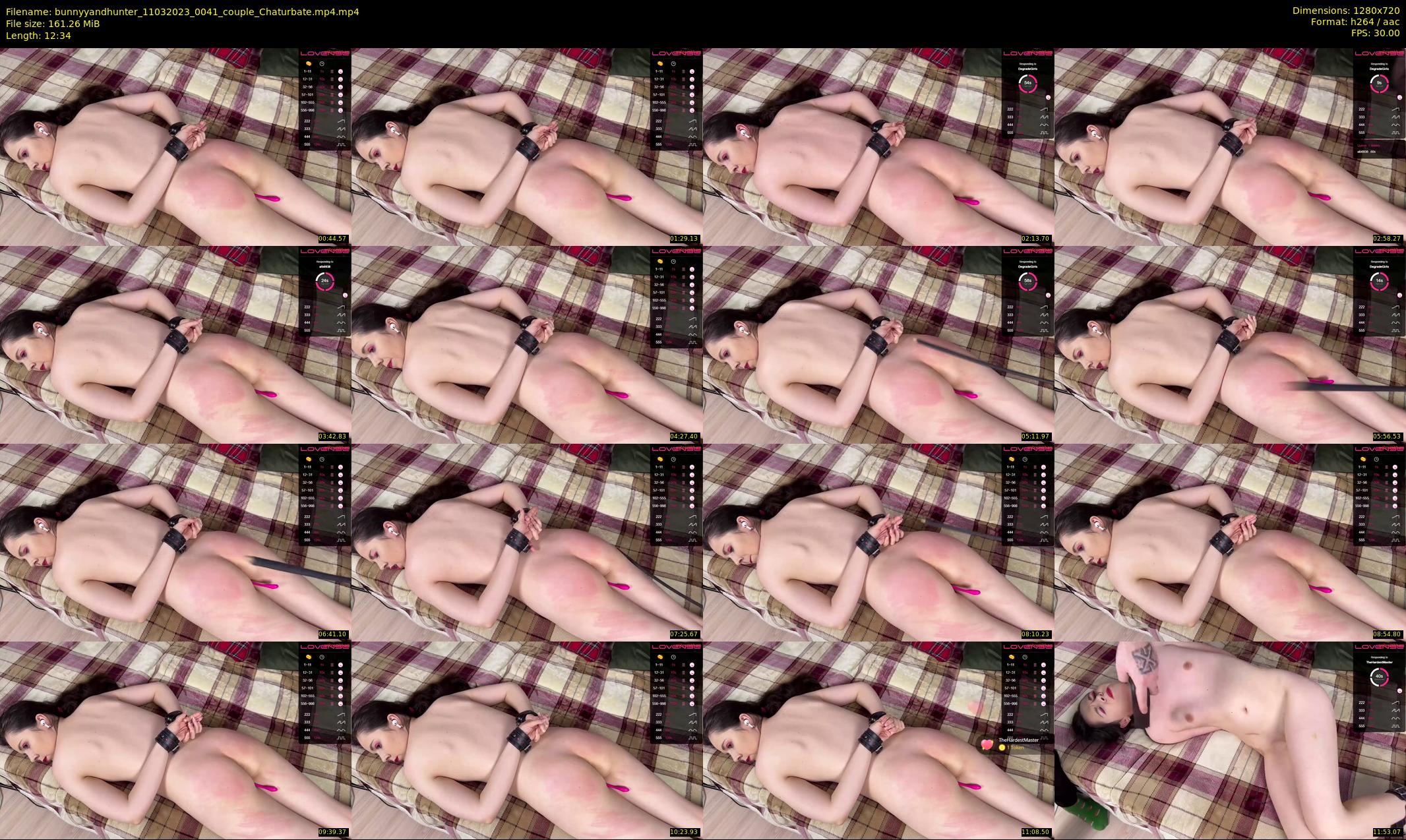 bunnyyandhunter — 13 minute Chaturbate couple cam show recording, 720p, Mar 11, 2023