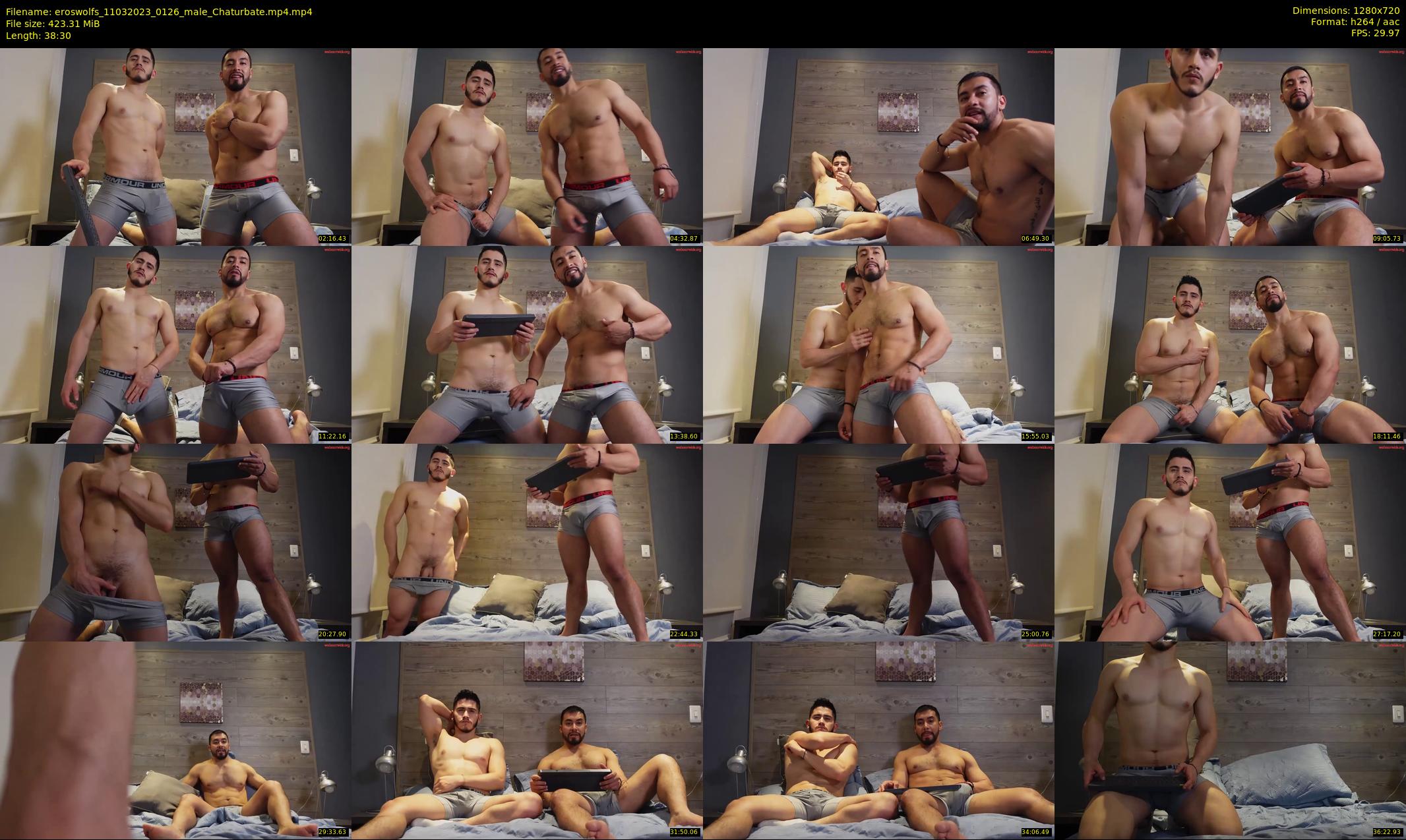 eroswolfs — 39 minute Chaturbate male cam show recording, 720p, Mar 11, 2023