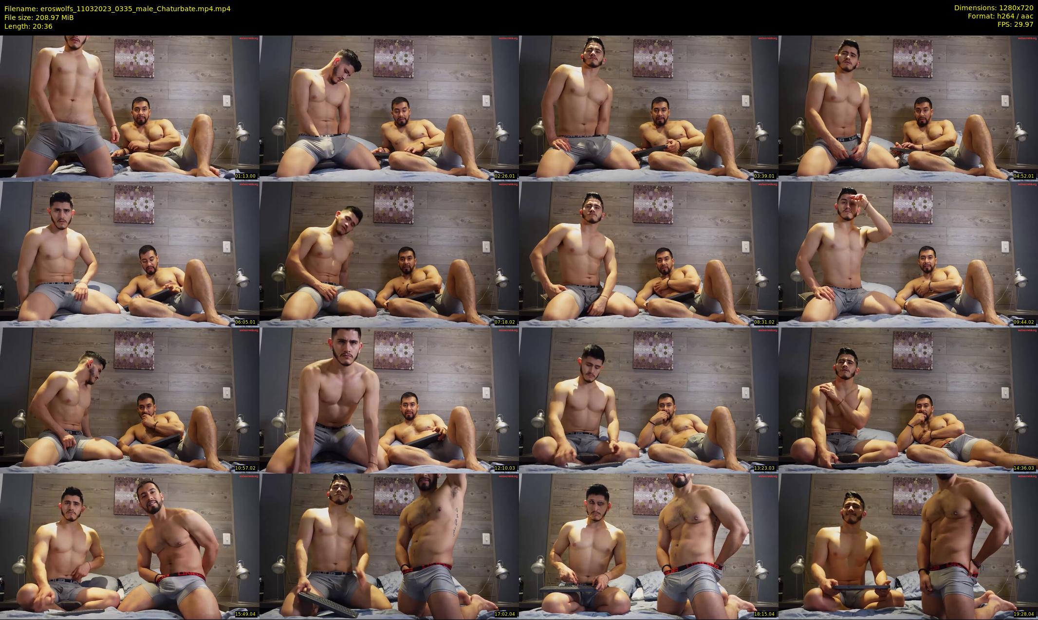 eroswolfs — 21 minute Chaturbate male cam show recording, 720p, Mar 11, 2023