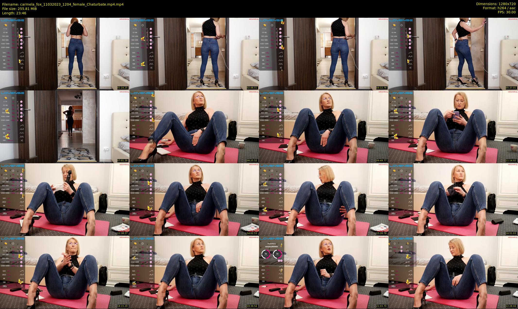 carmela_fox — 24 minute Chaturbate female cam show recording, 720p, Mar 11, 2023