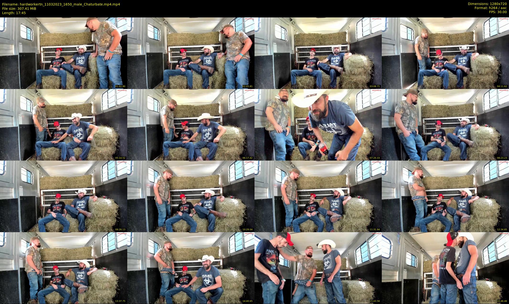 hardworkertn — 18 minute Chaturbate male cam show recording, 720p, Mar 11, 2023