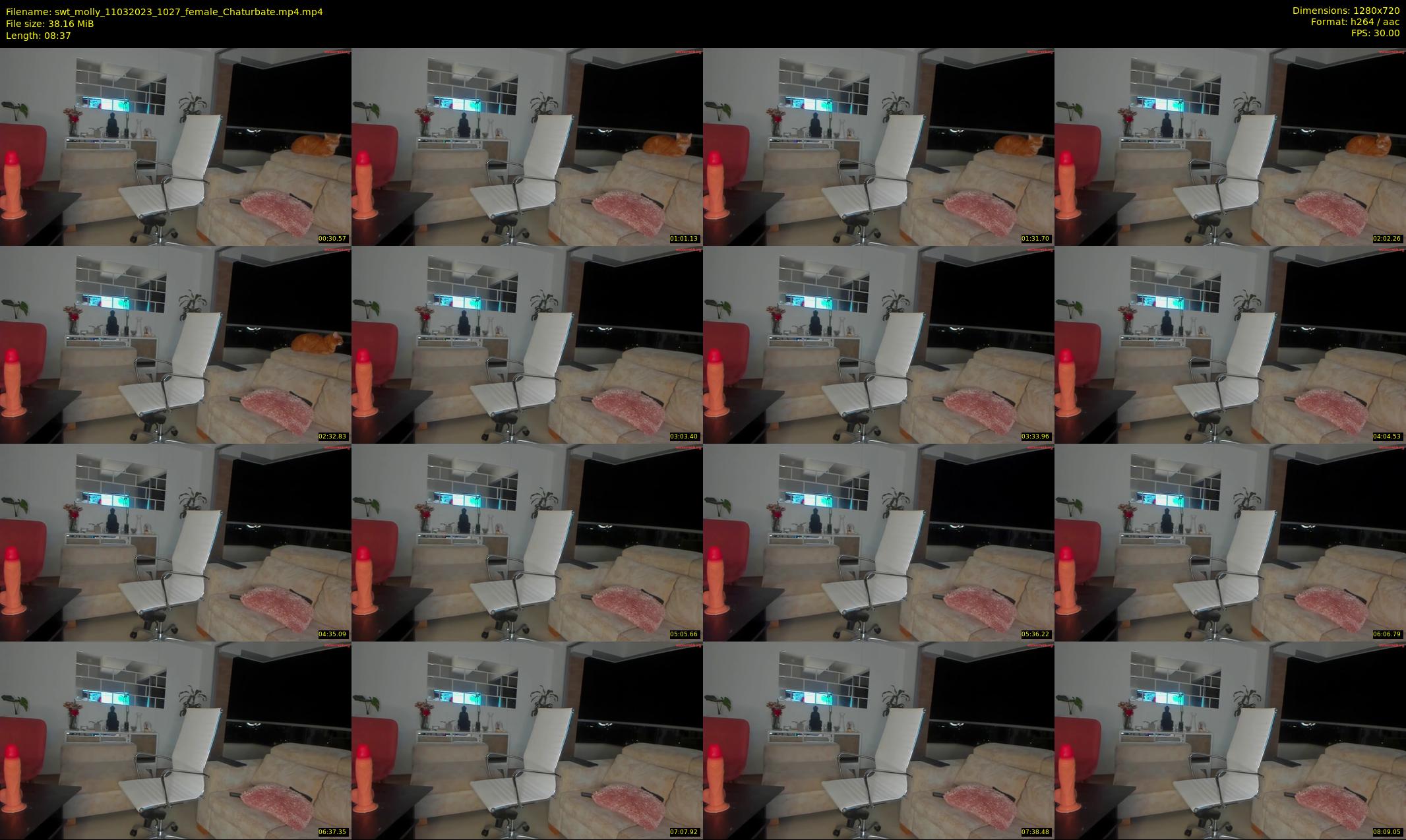 swt_molly — 9 minute Chaturbate female cam show recording, 720p, Mar 11, 2023
