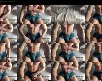 bestdick1991 — 8 minute Chaturbate male cam show recording, 720p, Mar 12, 2023