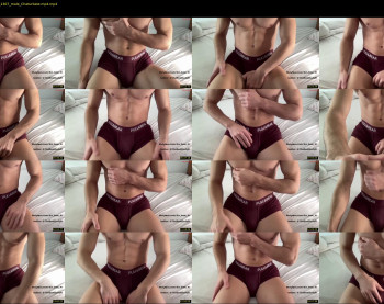 bestdick1991 — 20 minute Chaturbate male cam show recording, 720p, Mar 13, 2023