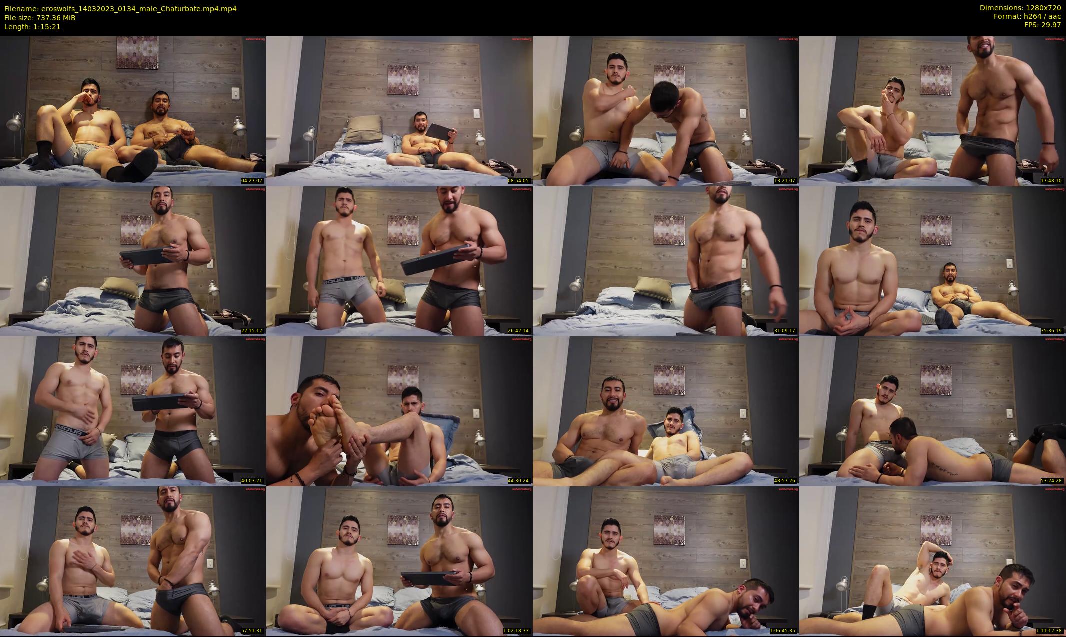 eroswolfs — 76 minute Chaturbate male cam show recording, 720p, Mar 14, 2023