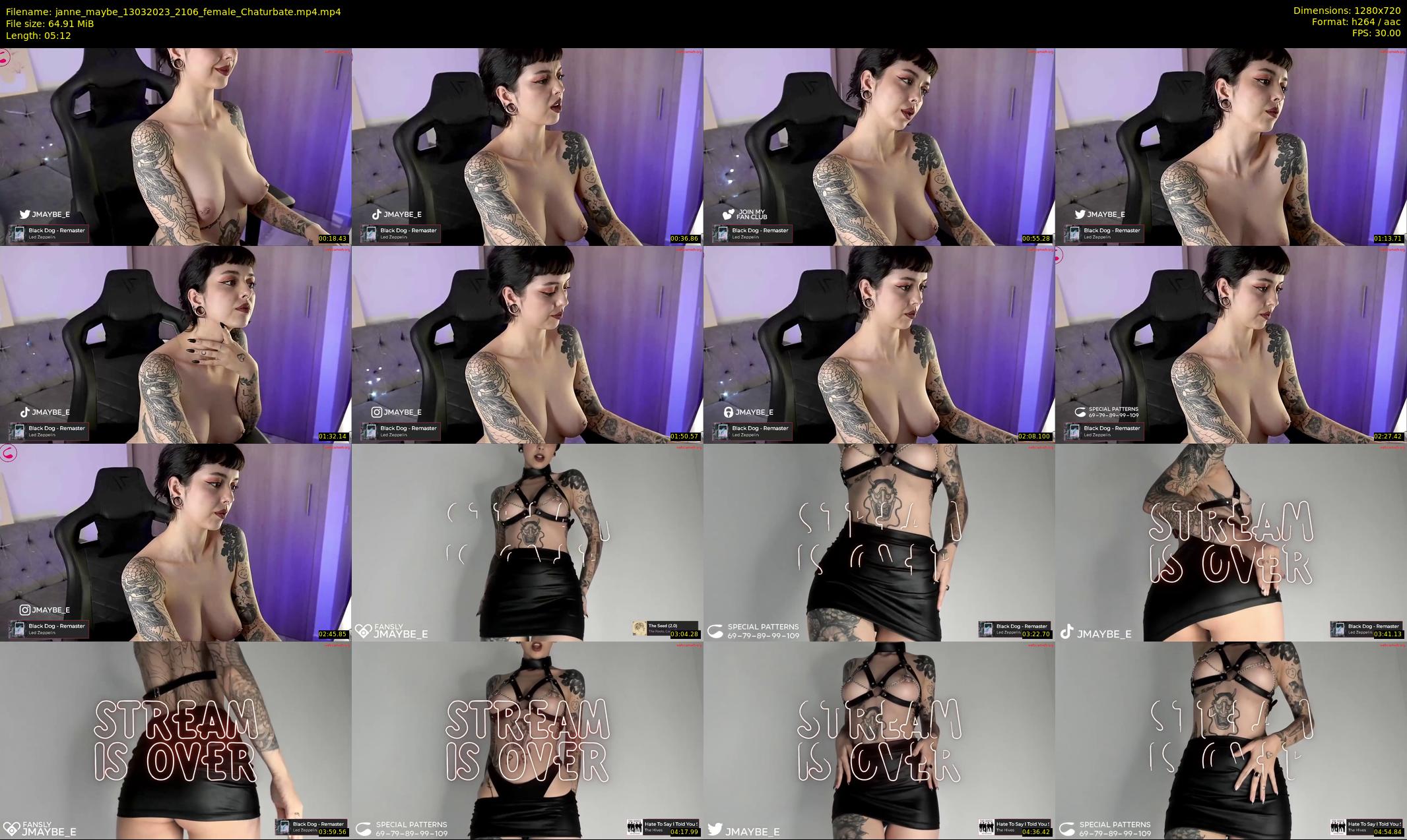 janne_maybe — 6 minute Chaturbate female cam show recording, 720p, Mar 13, 2023