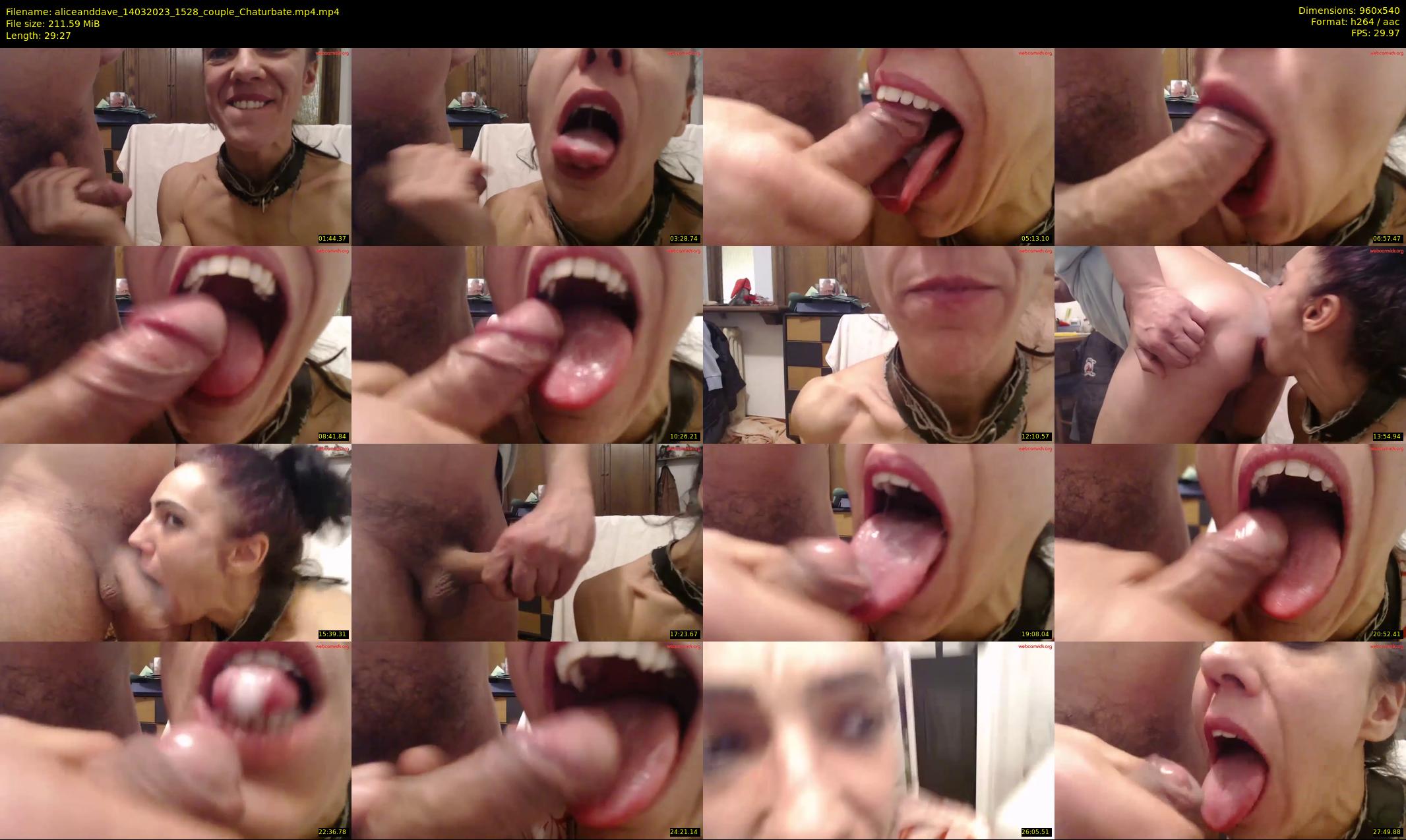 aliceanddave — 30 minute Chaturbate couple cam show recording, 480p, Mar 14, 2023