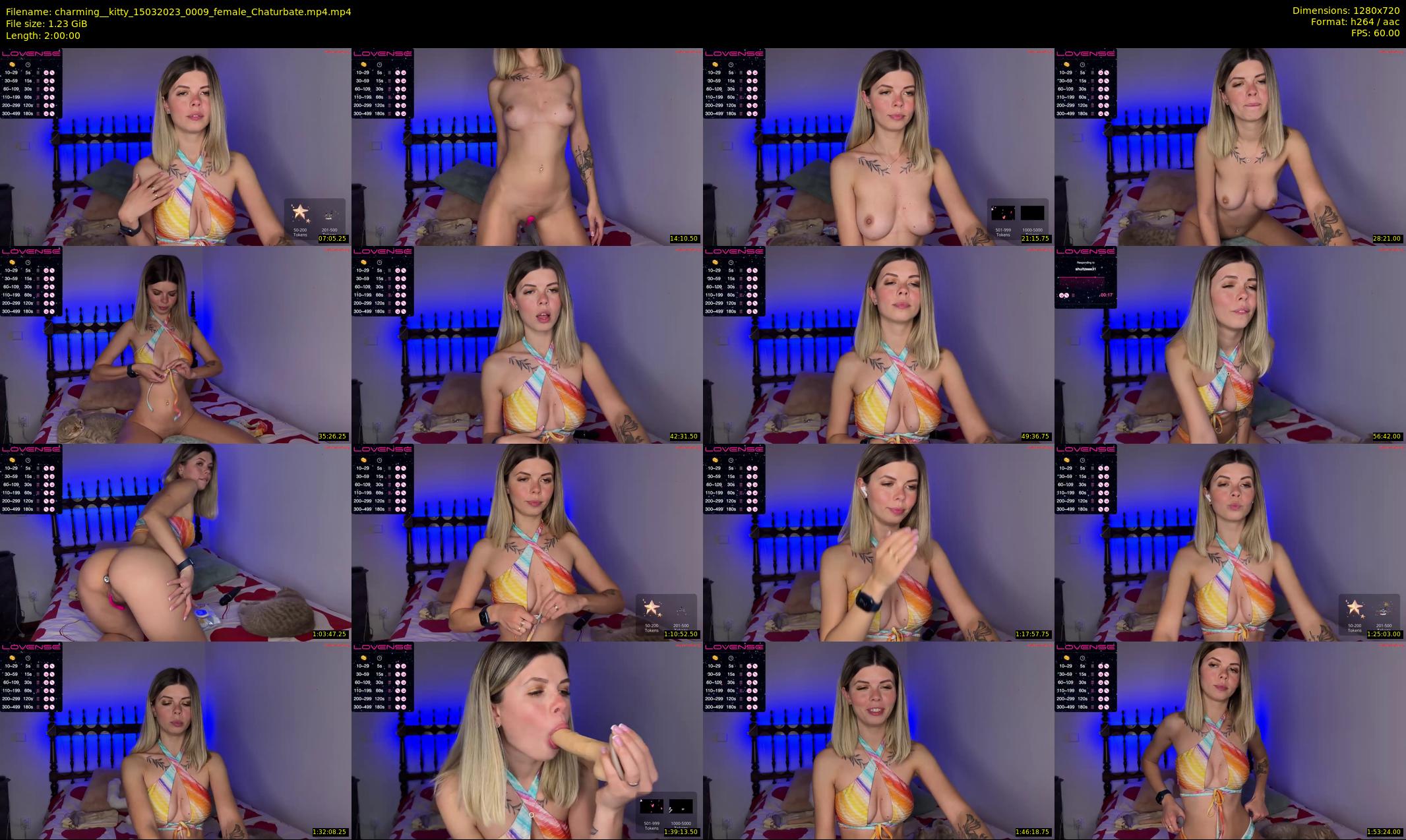 charming__kitty — 120 minute Chaturbate female cam show recording, 720p, Mar 15, 2023