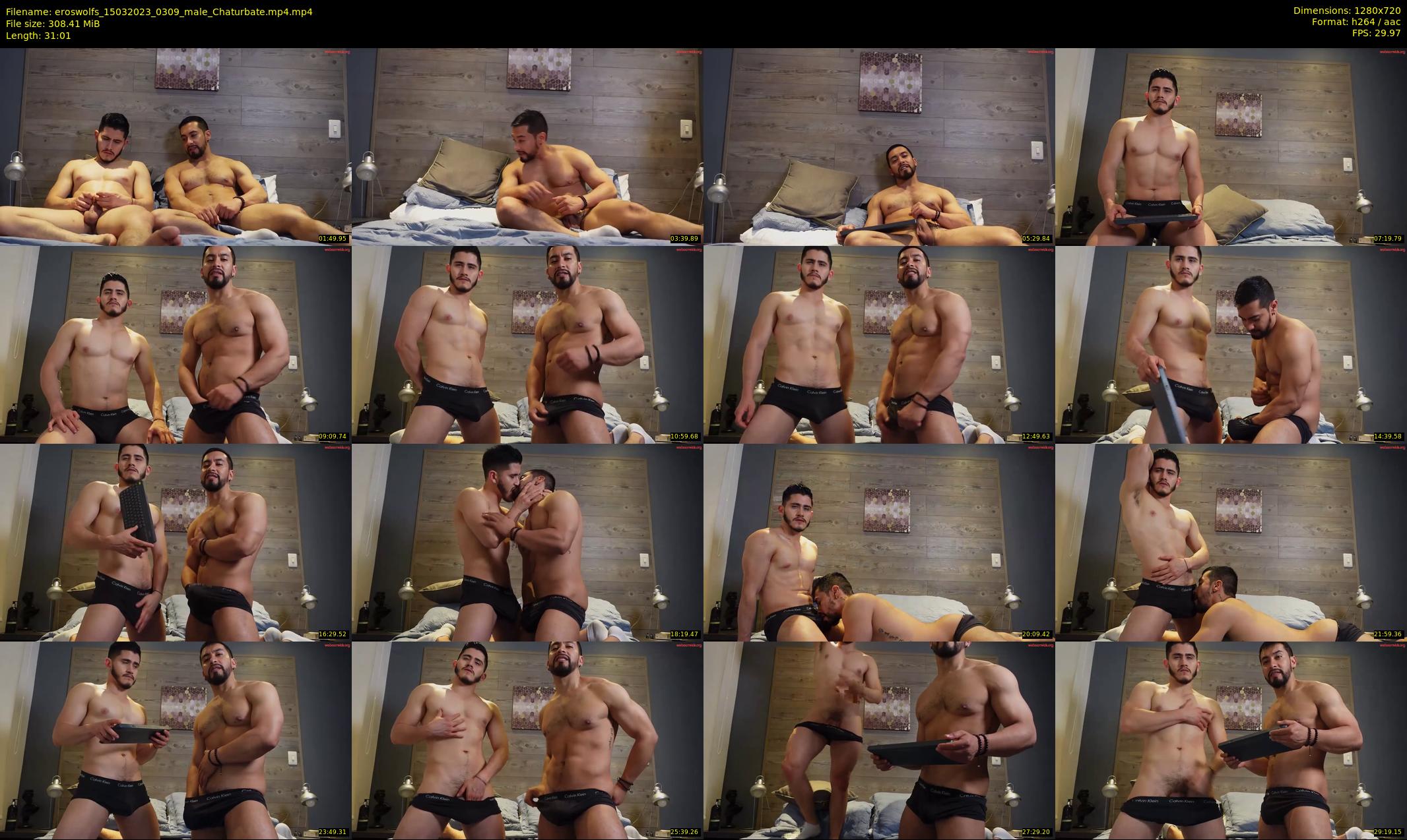 eroswolfs — 32 minute Chaturbate male cam show recording, 720p, Mar 15, 2023