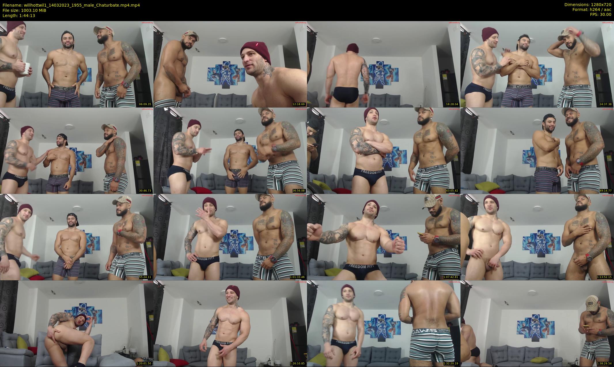 willhottwil1 — 105 minute Chaturbate couple cam show recording, 720p, Mar 14, 2023