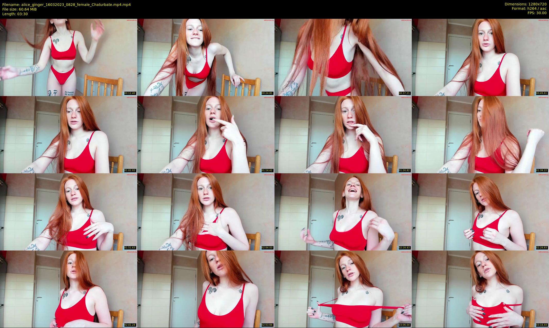 alice_ginger — 4 minute Chaturbate female cam show recording, 720p, Mar 16, 2023