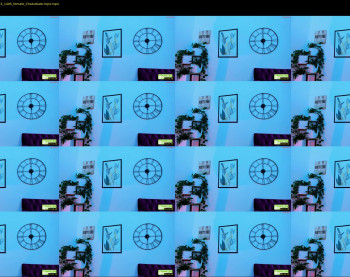 elizabeth__gray — 10 minute Chaturbate female cam show recording, 720p, Mar 16, 2023