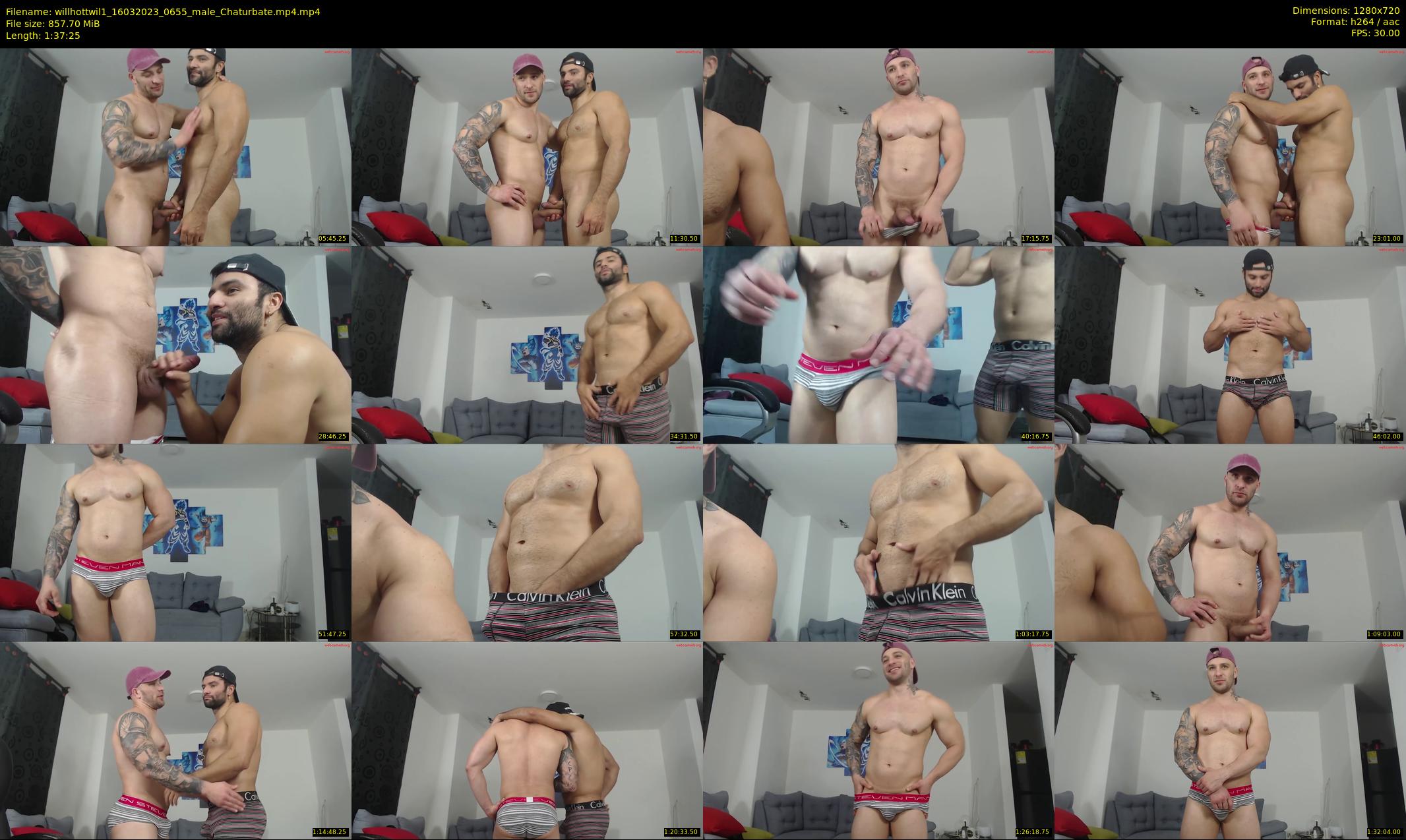 willhottwil1 — 98 minute Chaturbate couple cam show recording, 720p, Mar 16, 2023