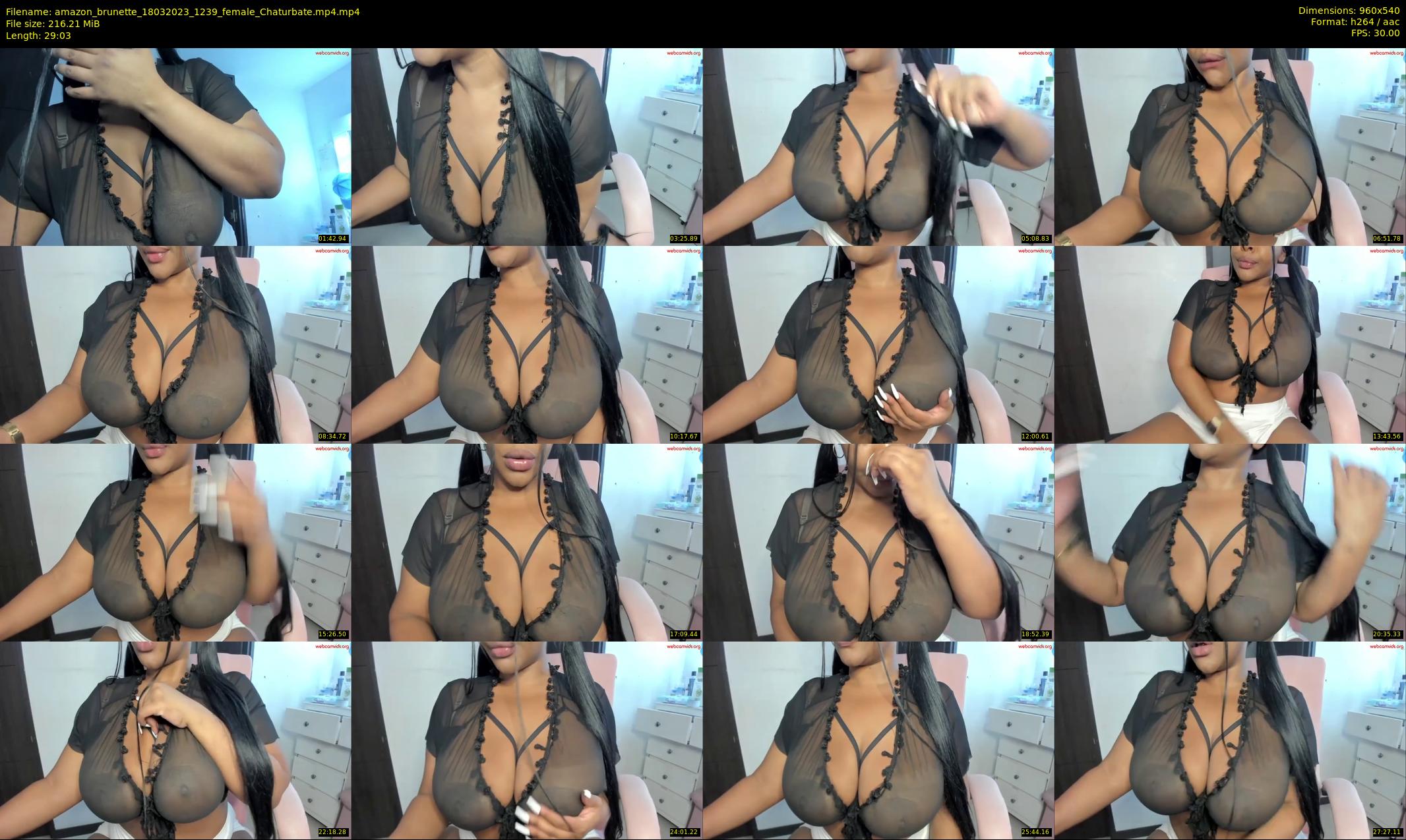 amazon_brunette — 30 minute Chaturbate female cam show recording, 480p, Mar 18, 2023