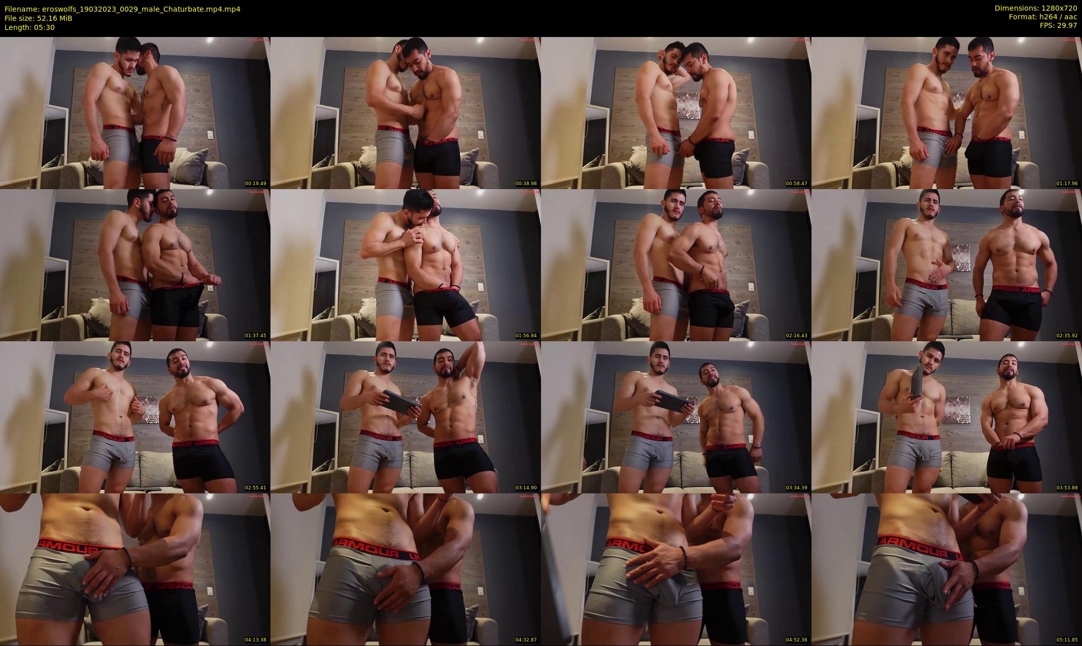 eroswolfs — 6 minute Chaturbate male cam show recording, 720p, Mar 19, 2023