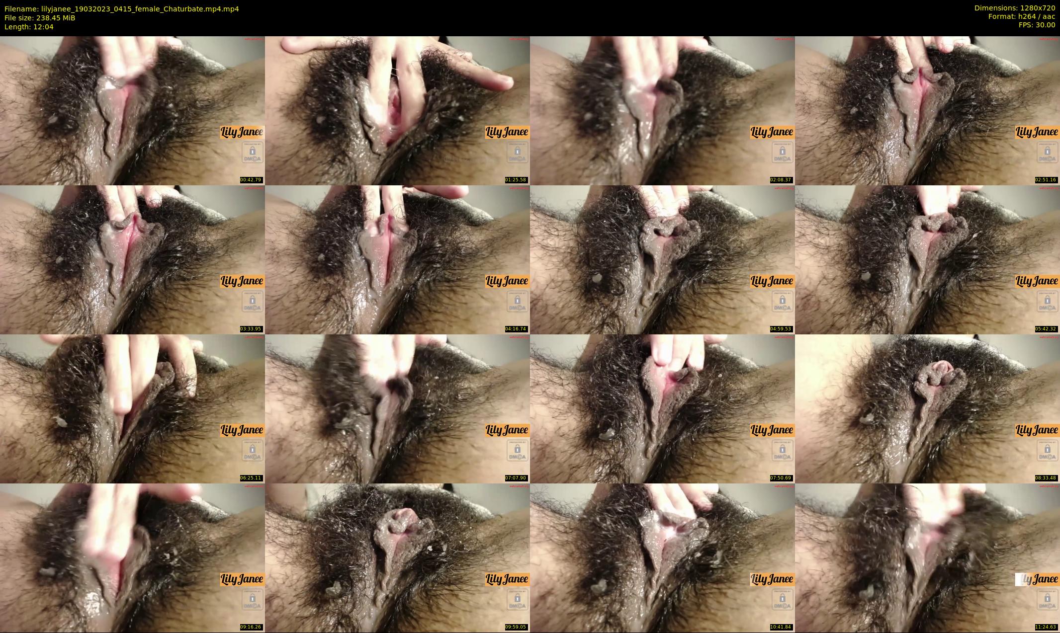 lilyjanee — 13 minute Chaturbate female cam show recording, 720p, Mar 19, 2023