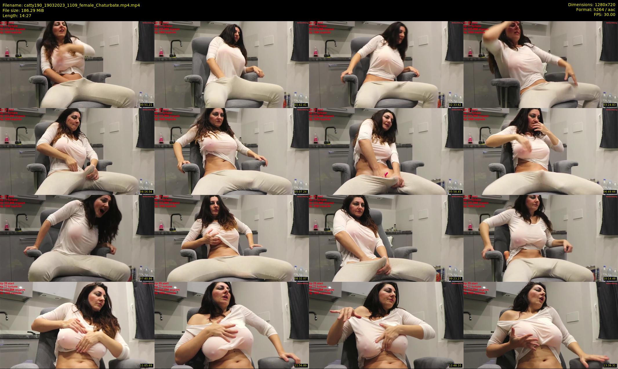 catty190 — 15 minute Chaturbate female cam show recording, 720p, Mar 19, 2023