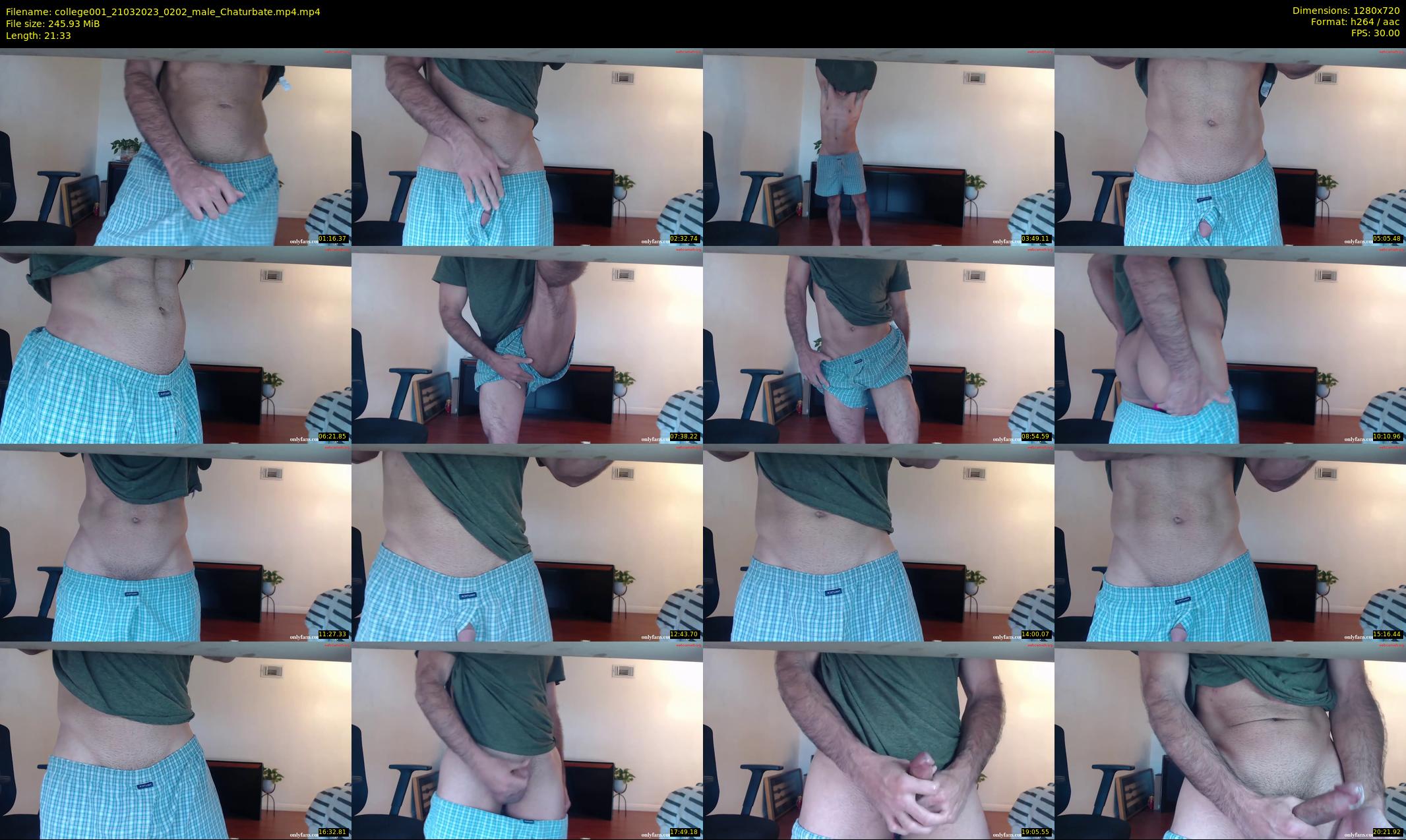 college001 — 22 minute Chaturbate male cam show recording, 720p, Mar 21, 2023