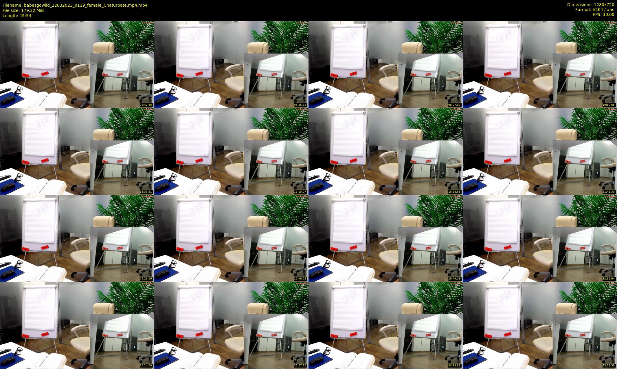 babesgowild — 46 minute Chaturbate couple cam show recording, 720p, Mar 22, 2023