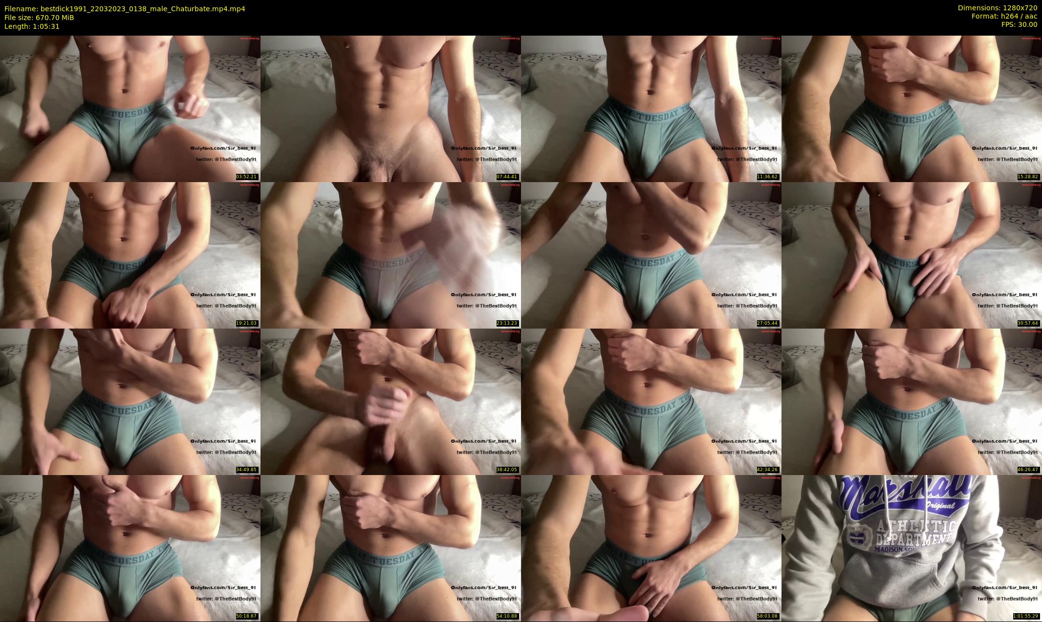 bestdick1991 — 66 minute Chaturbate male cam show recording, 720p, Mar 22, 2023