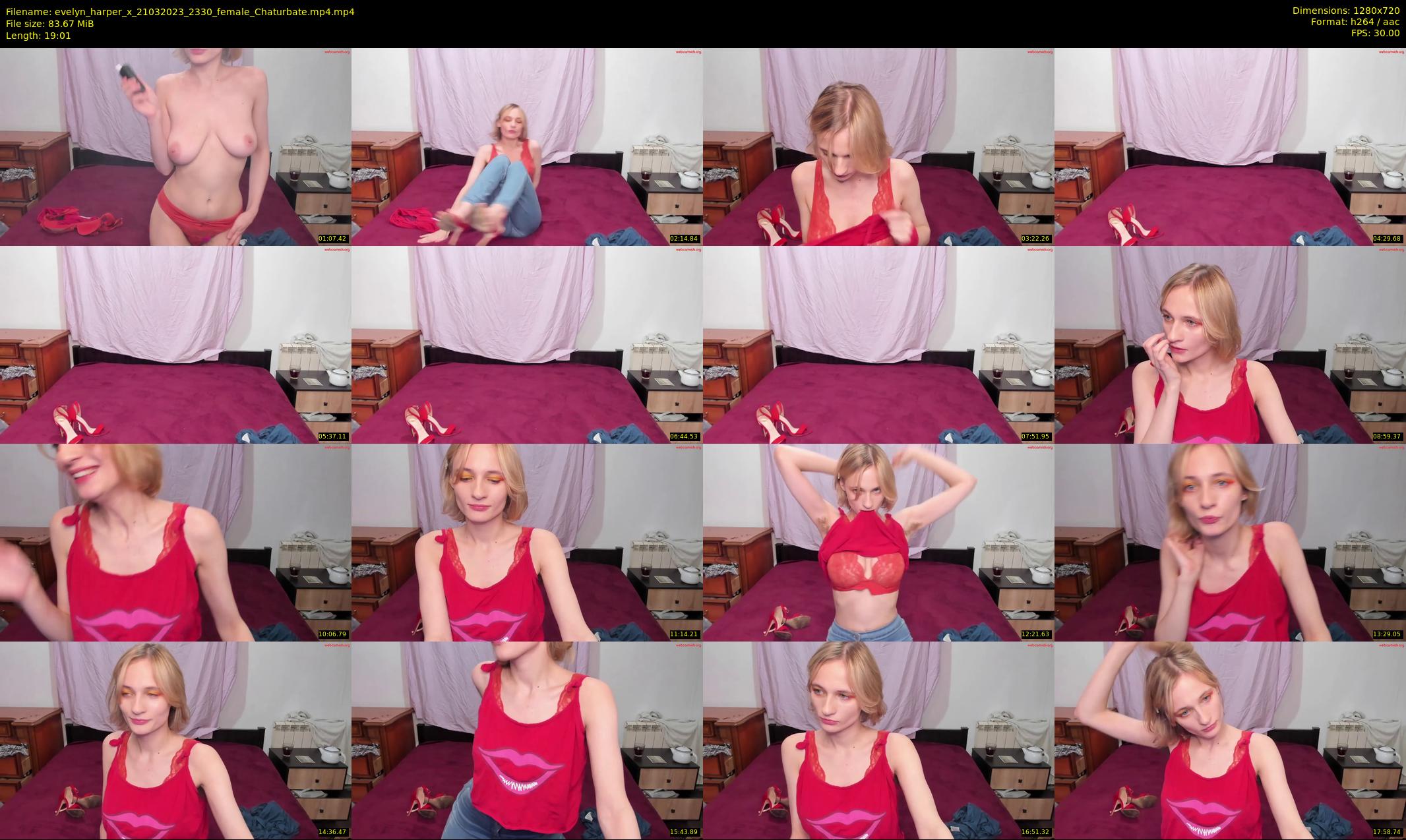 evelyn_harper_x — 20 minute Chaturbate female cam show recording, 720p, Mar 21, 2023