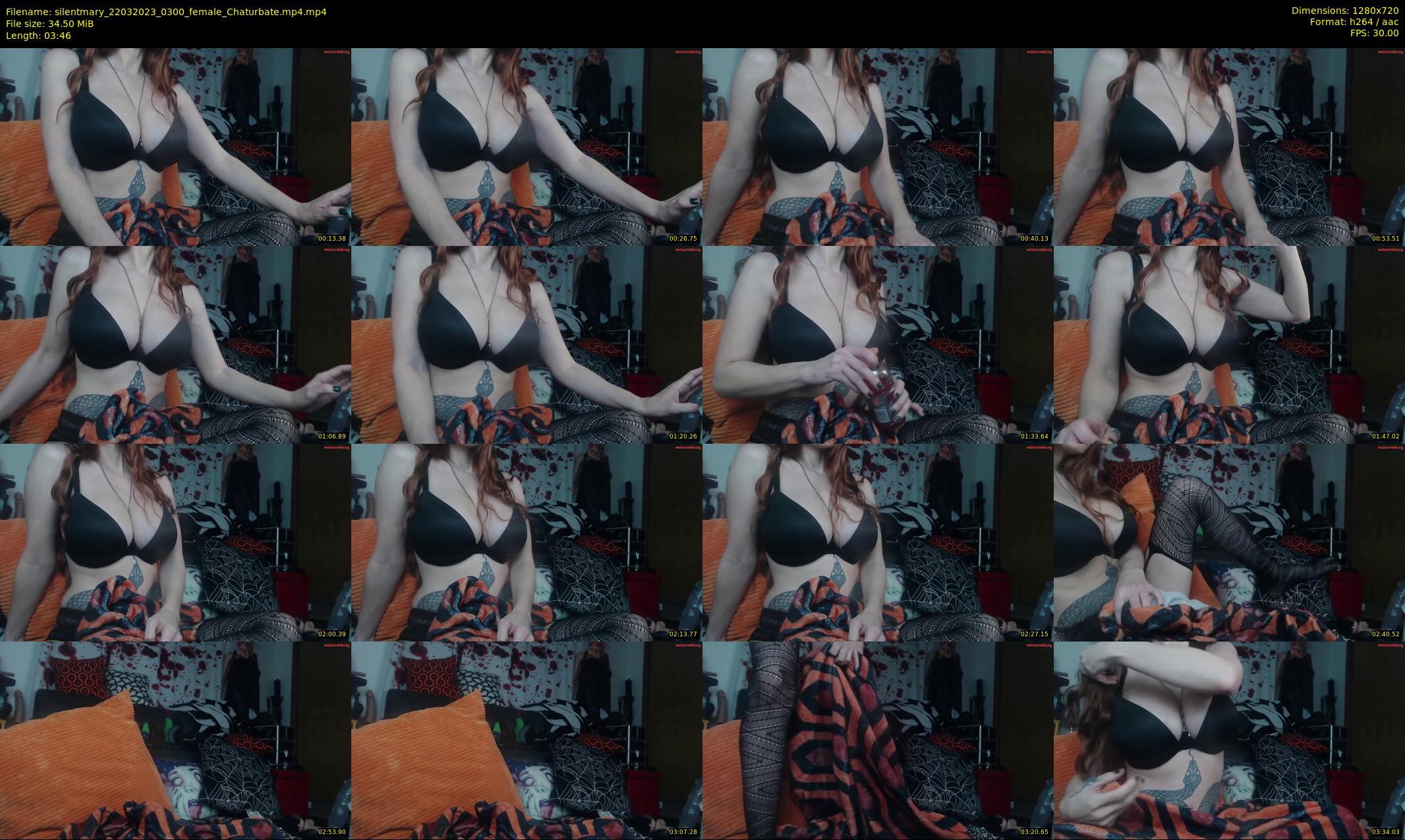 silentmary — 4 minute Chaturbate female cam show recording, 720p, Mar 22, 2023