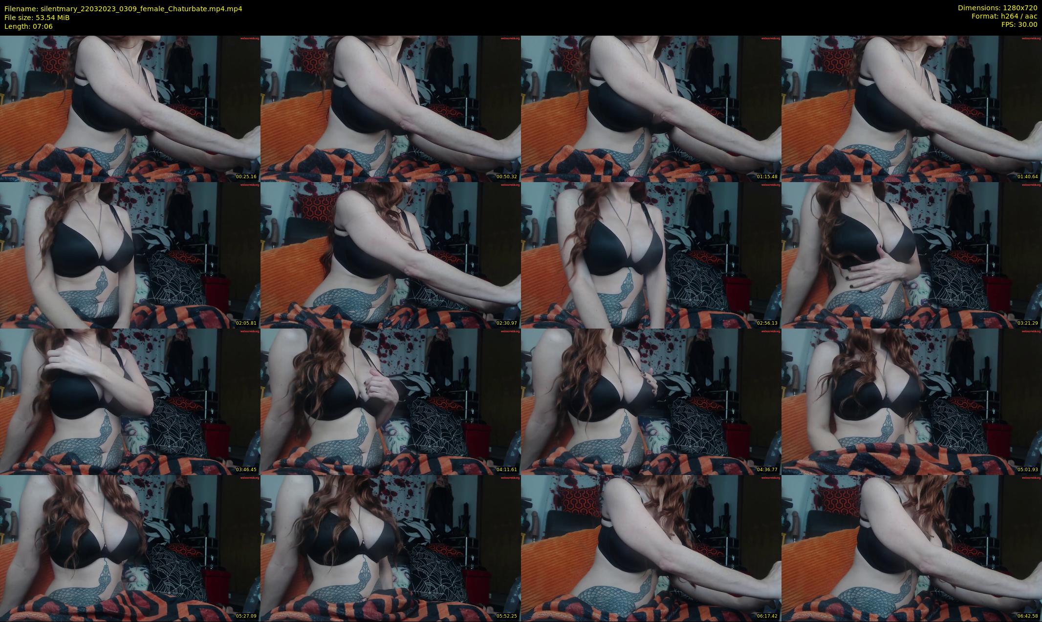 silentmary — 8 minute Chaturbate female cam show recording, 720p, Mar 22, 2023