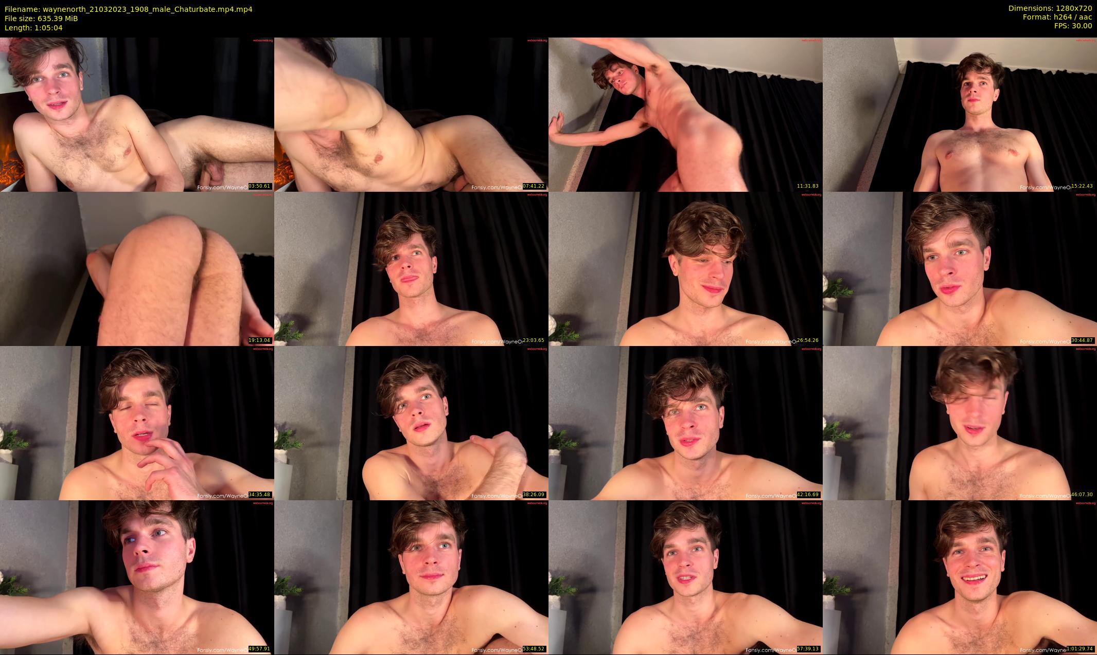 waynenorth — 66 minute Chaturbate male cam show recording, 720p, Mar 21, 2023