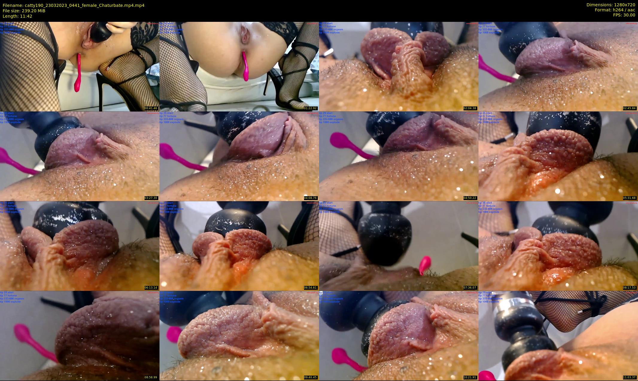 catty190 — 12 minute Chaturbate female cam show recording, 720p, Mar 23, 2023