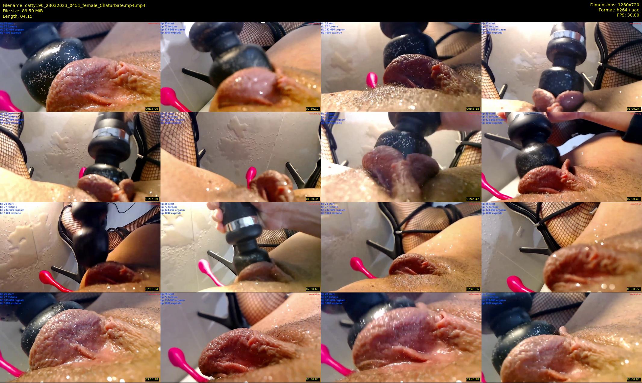 catty190 — 5 minute Chaturbate female cam show recording, 720p, Mar 23, 2023