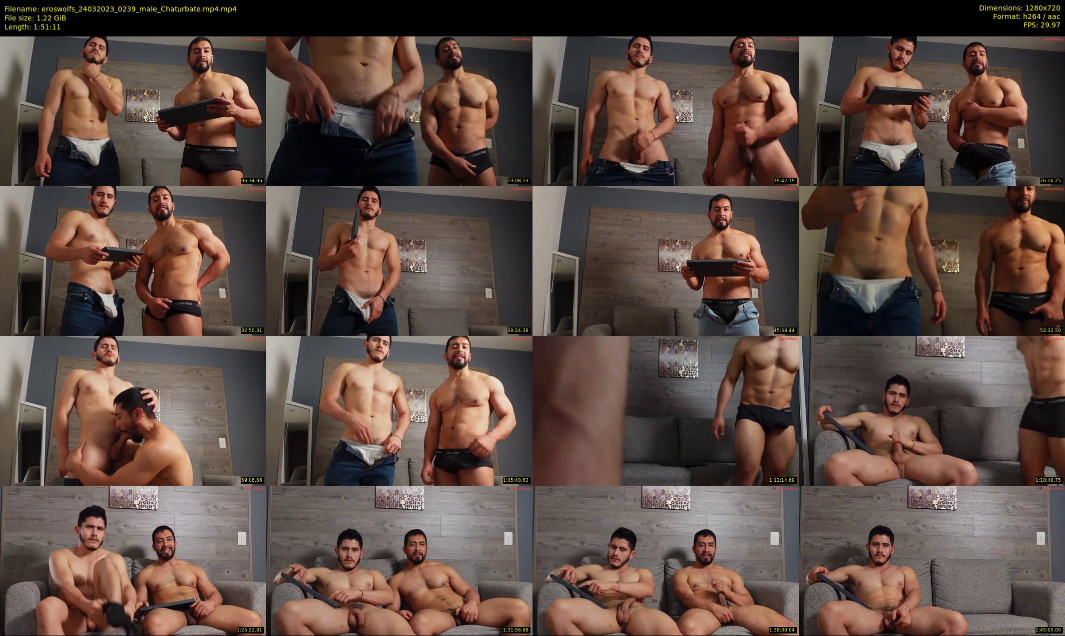 eroswolfs — 112 minute Chaturbate male cam show recording, 720p, Mar 24, 2023