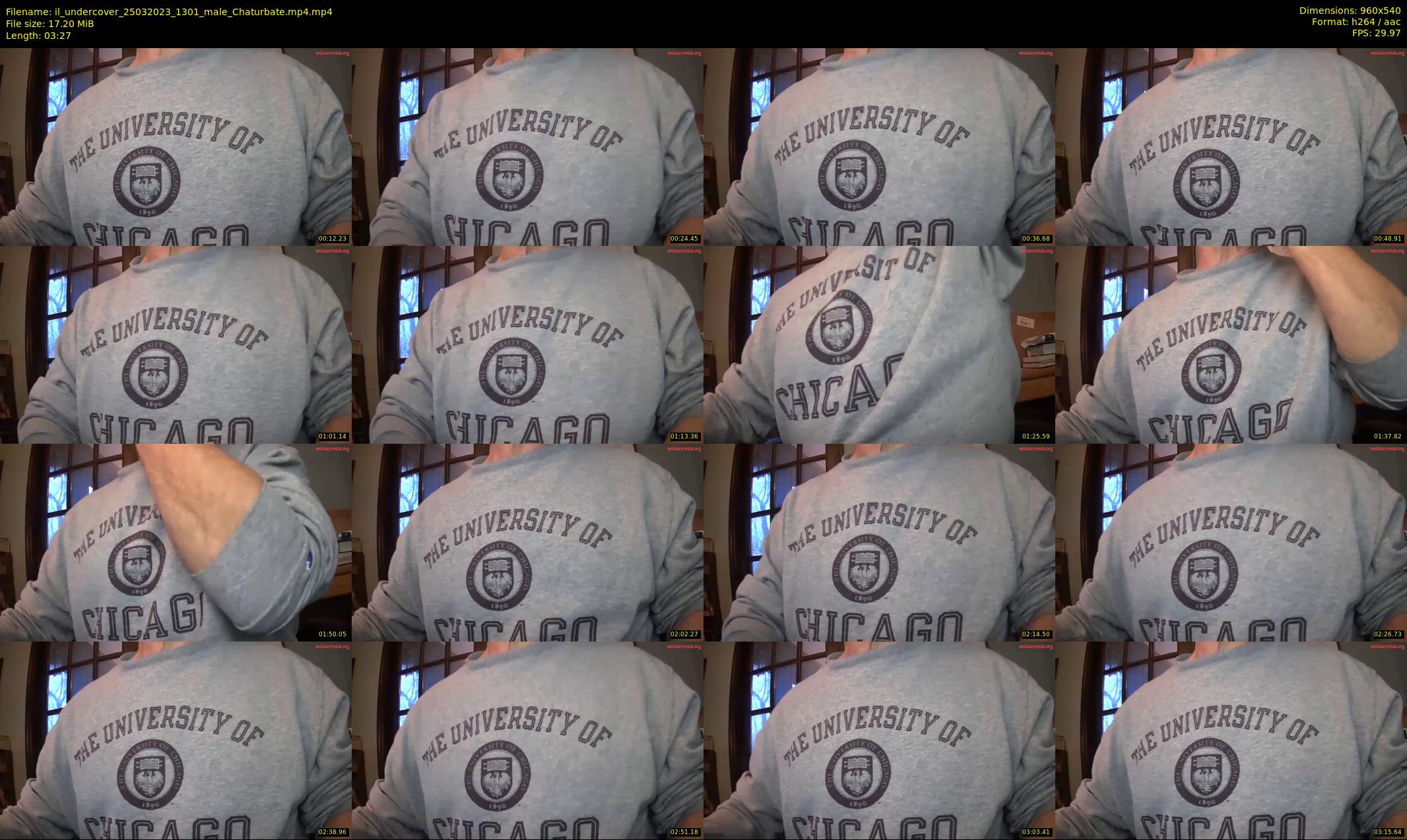 il_undercover — 4 minute Chaturbate male cam show recording, 480p, Mar 25, 2023