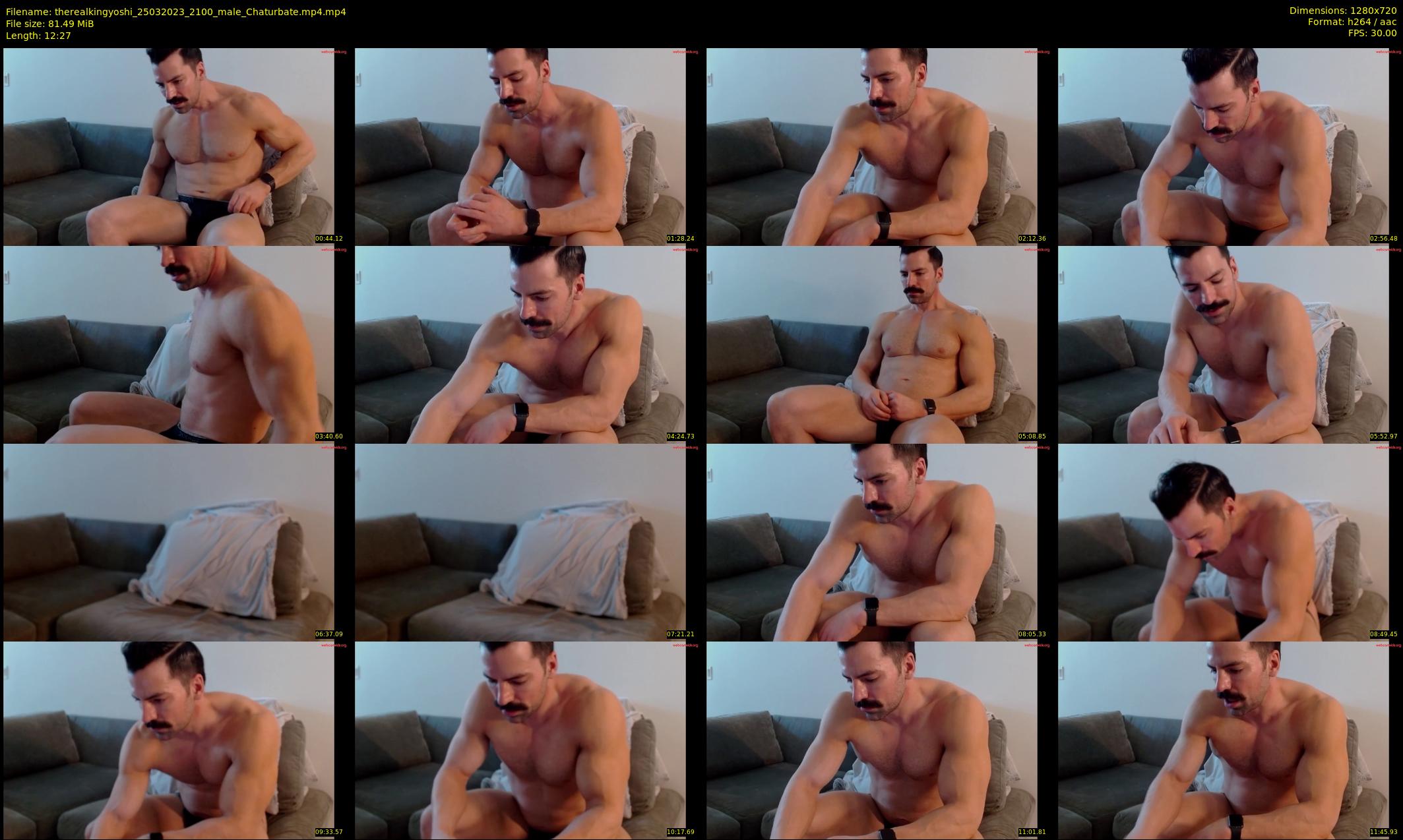 therealkingyoshi — 13 minute Chaturbate male cam show recording, 720p, Mar 25, 2023
