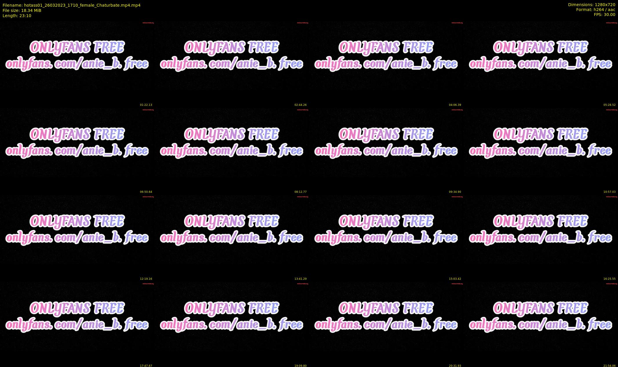 hotass01 — 24 minute Chaturbate couple cam show recording, 720p, Mar 26, 2023