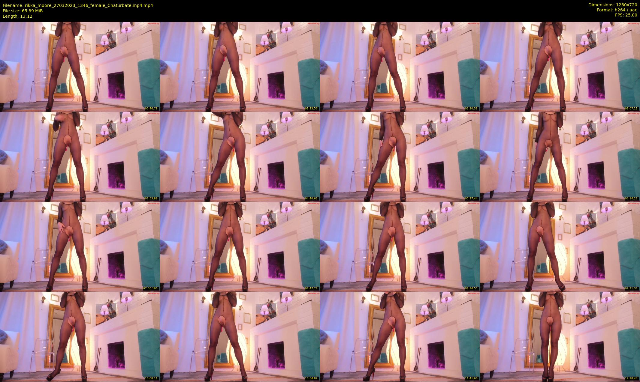 rikka_moore — 14 minute Chaturbate female cam show recording, 720p, Mar 27, 2023