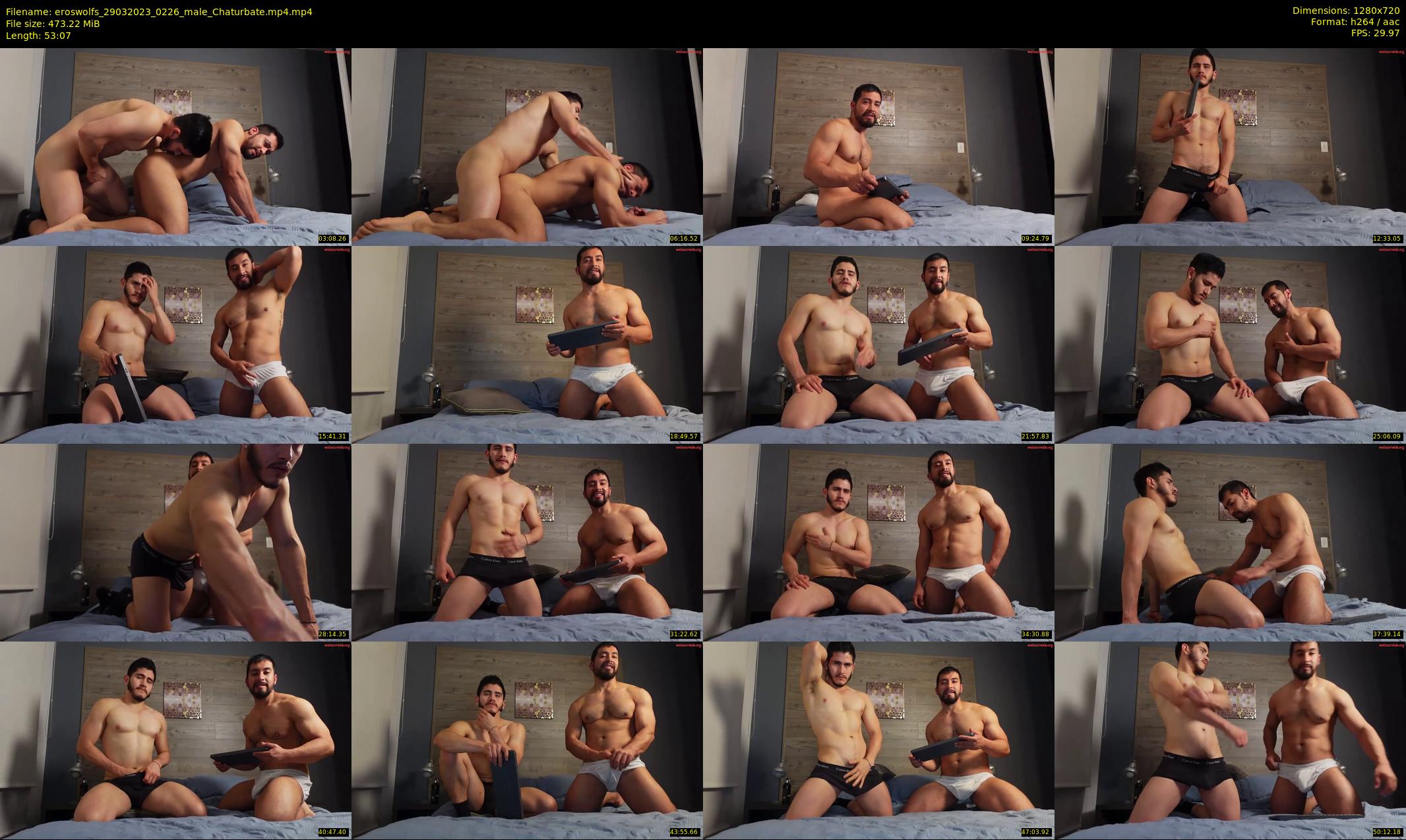 eroswolfs — 54 minute Chaturbate male cam show recording, 720p, Mar 29, 2023