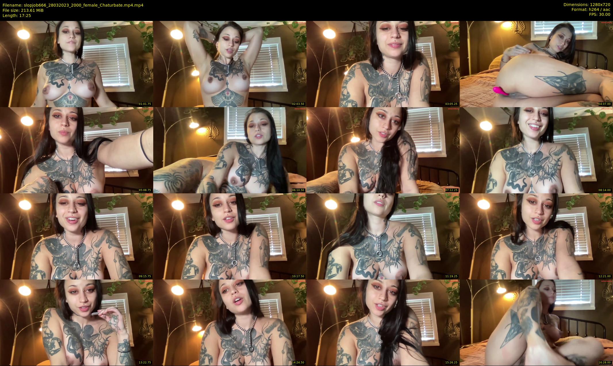 slopjob666 — 18 minute Chaturbate female cam show recording, 720p, Mar 28, 2023