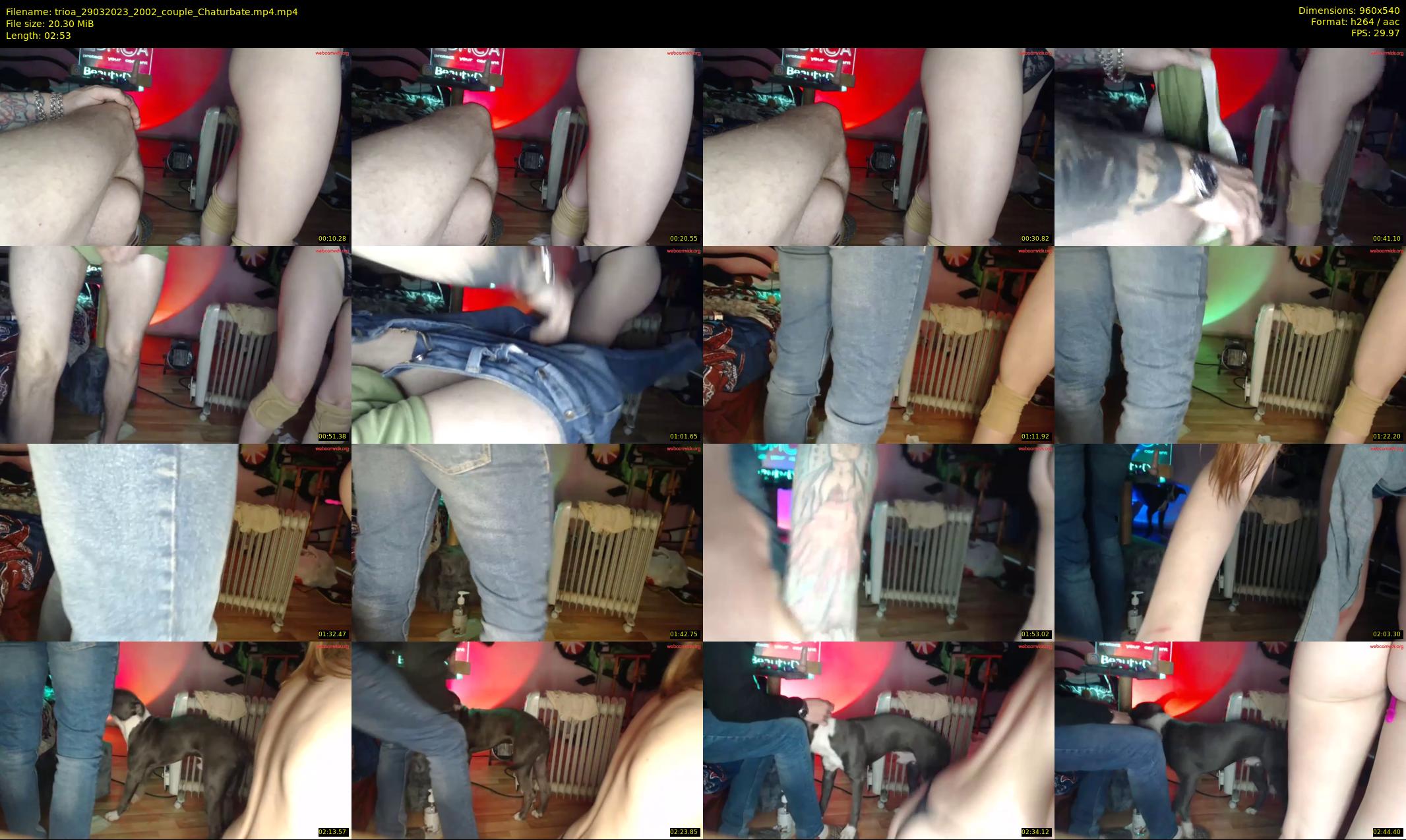 trioa — 3 minute Chaturbate couple cam show recording, 480p, Mar 29, 2023