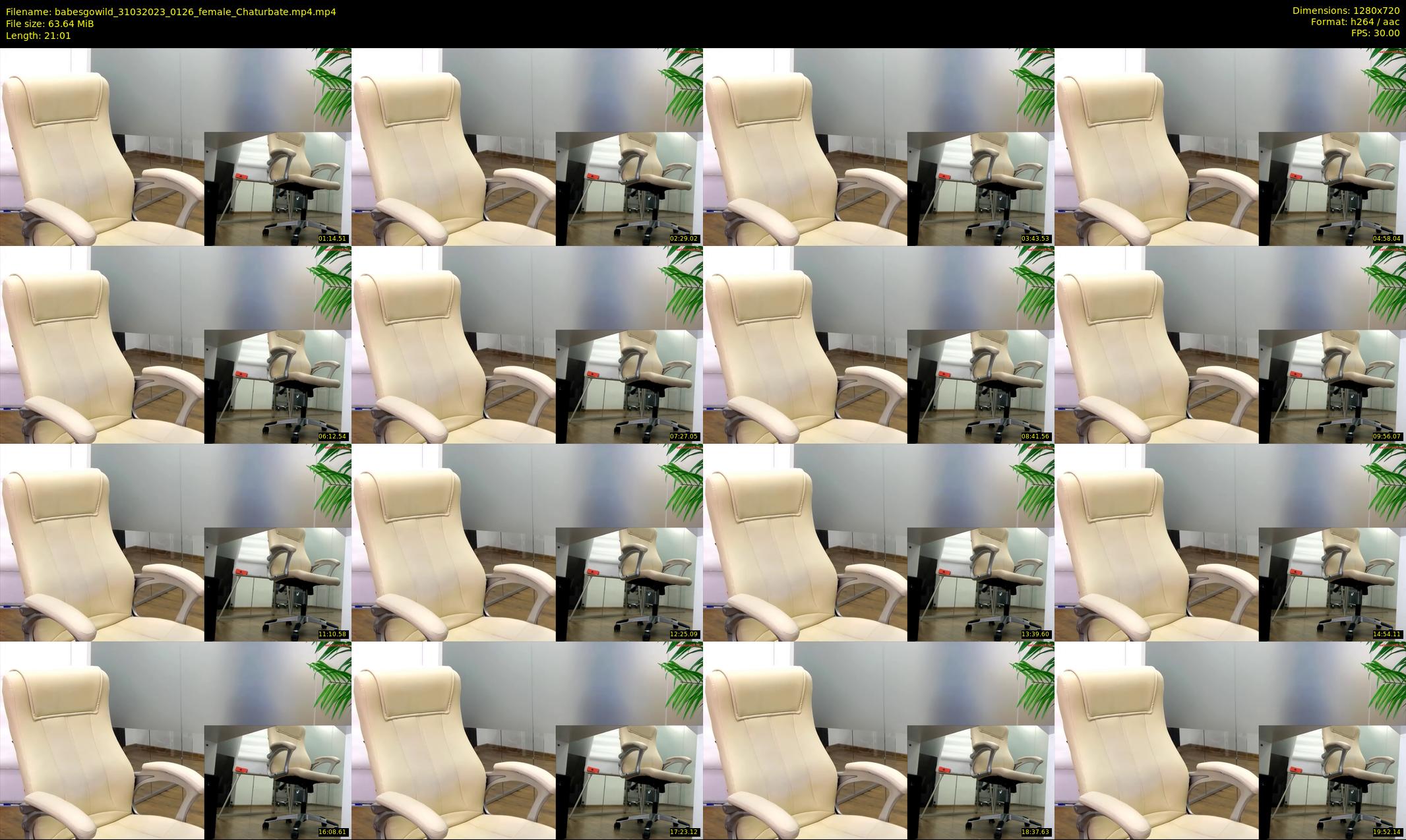 babesgowild — 22 minute Chaturbate couple cam show recording, 720p, Mar 31, 2023