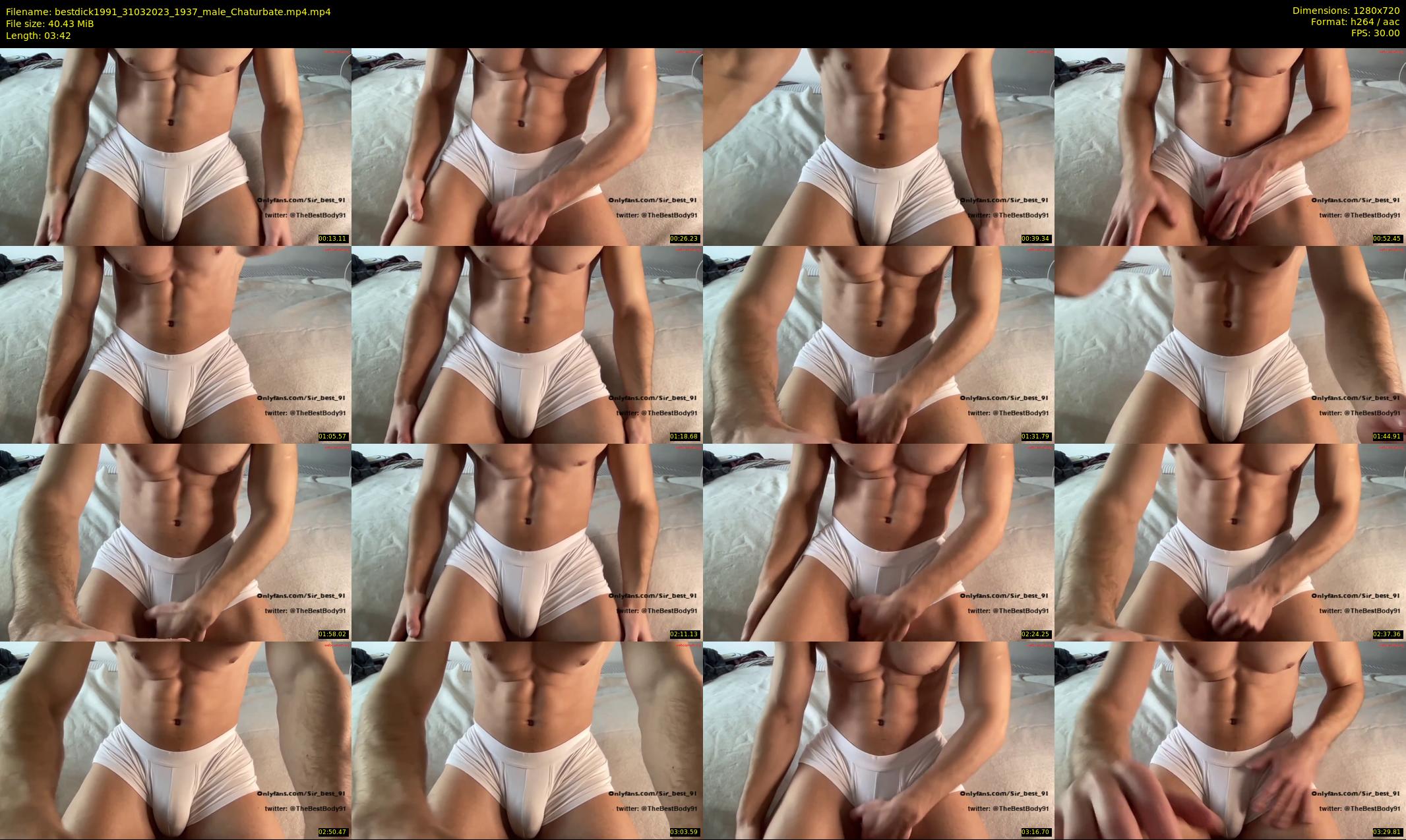 bestdick1991 — 4 minute Chaturbate male cam show recording, 720p, Mar 31, 2023