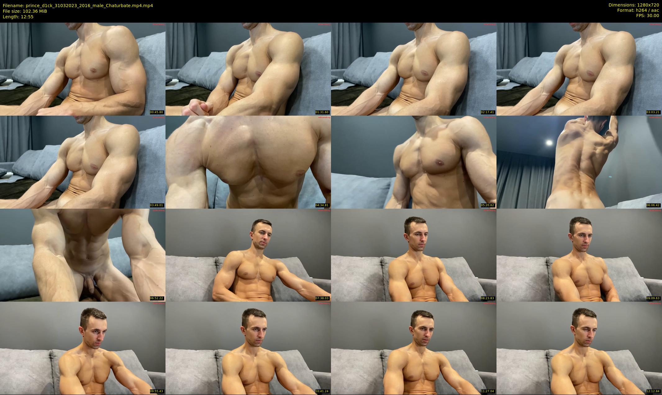 prince_d1ck — 13 minute Chaturbate male cam show recording, 720p, Mar 31, 2023