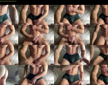 bestdick1991 — 20 minute Chaturbate male cam show recording, 720p, Apr 3, 2023