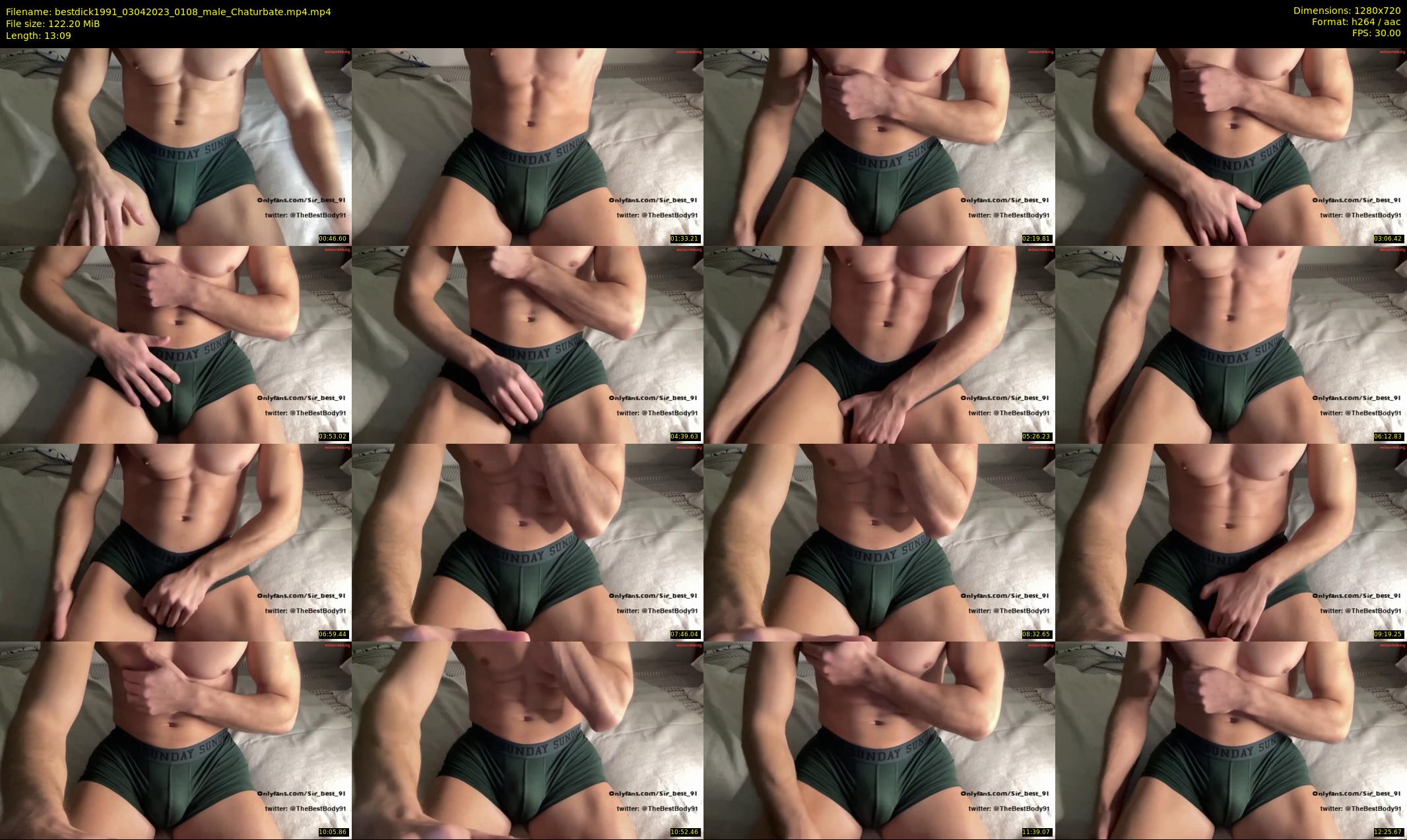 bestdick1991 — 14 minute Chaturbate male cam show recording, 720p, Apr 3, 2023