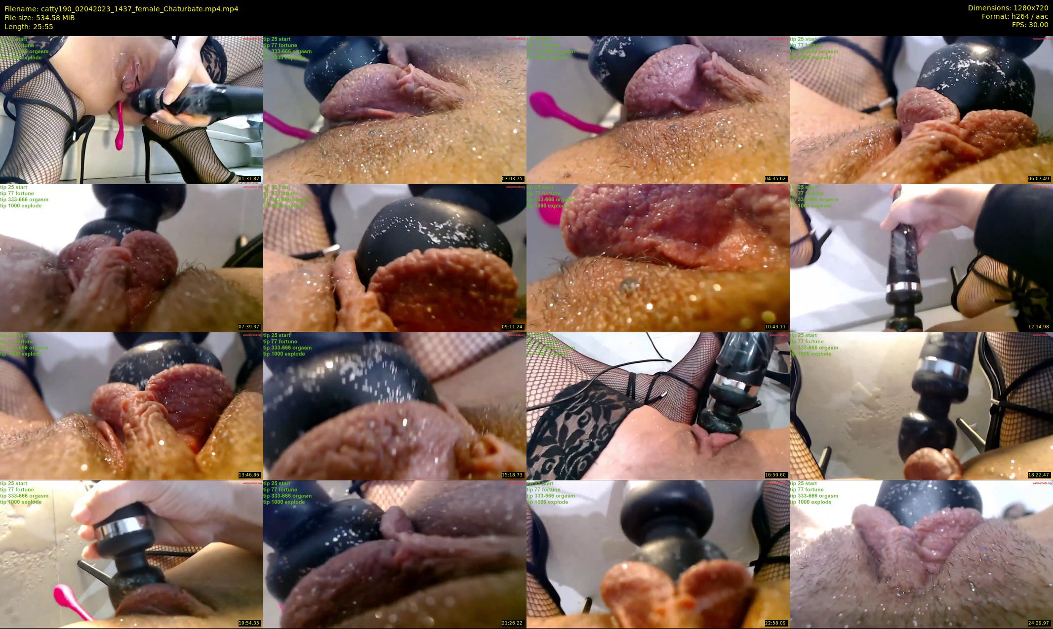 catty190 — 26 minute Chaturbate female cam show recording, 720p, Apr 2, 2023