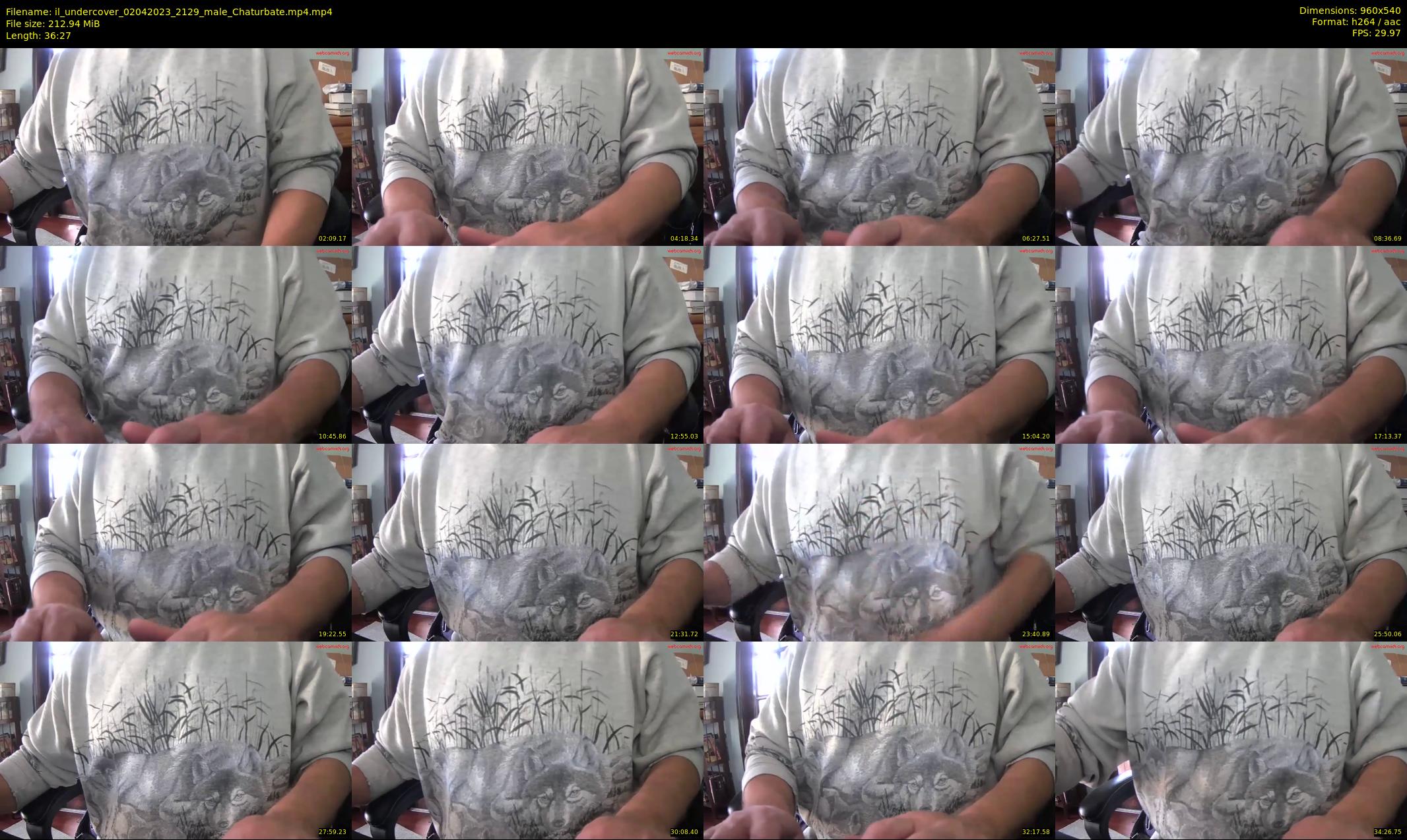 il_undercover — 37 minute Chaturbate male cam show recording, 480p, Apr 2, 2023