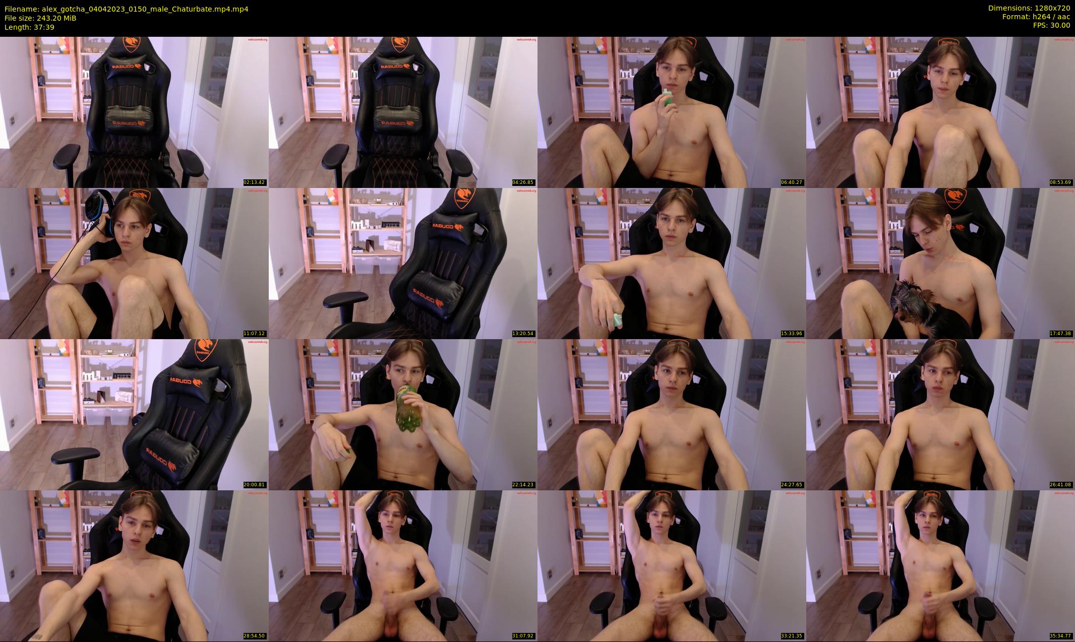alex_gotcha — 38 minute Chaturbate male cam show recording, 720p, Apr 4, 2023