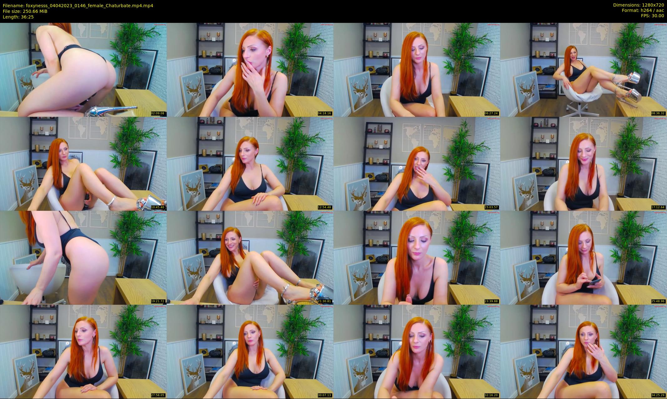 foxynesss — 37 minute Chaturbate female cam show recording, 720p, Apr 4, 2023