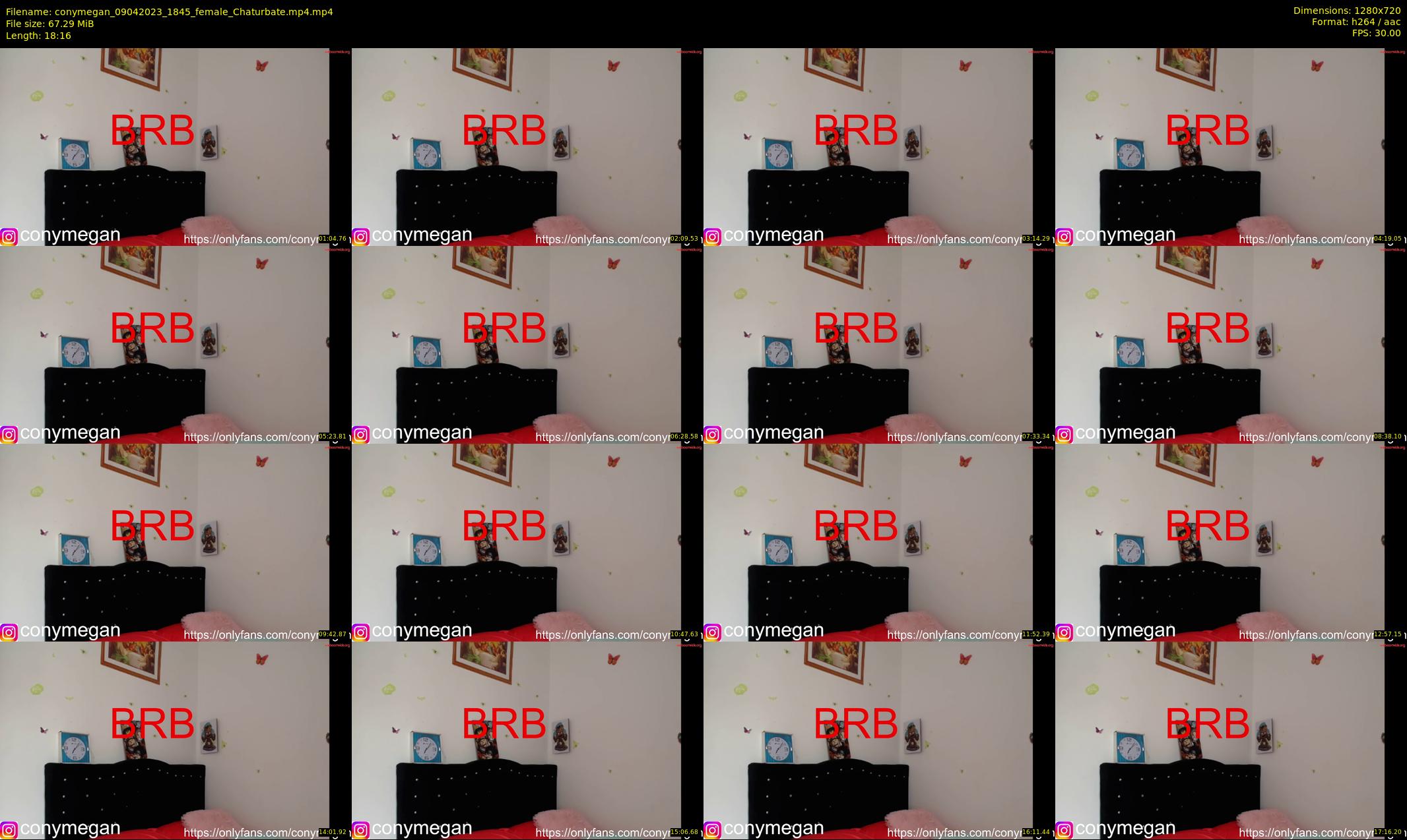 conymegan — 19 minute Chaturbate female cam show recording, 720p, Apr 9, 2023