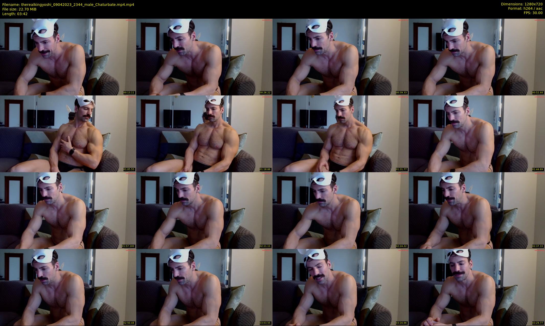 therealkingyoshi — 4 minute Chaturbate male cam show recording, 720p, Apr 9, 2023